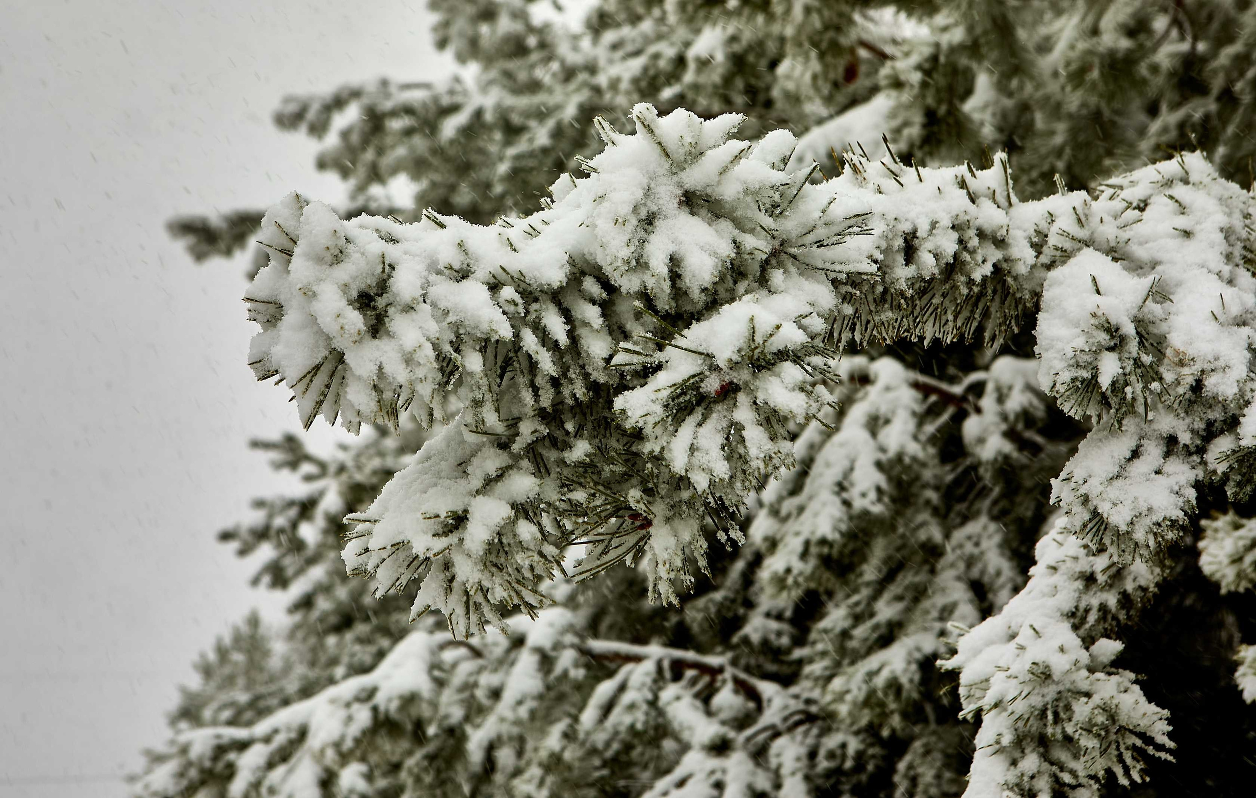 Видовые фото УГНТУ. УГНТУ — Ведущий нефтегазовый вуз России