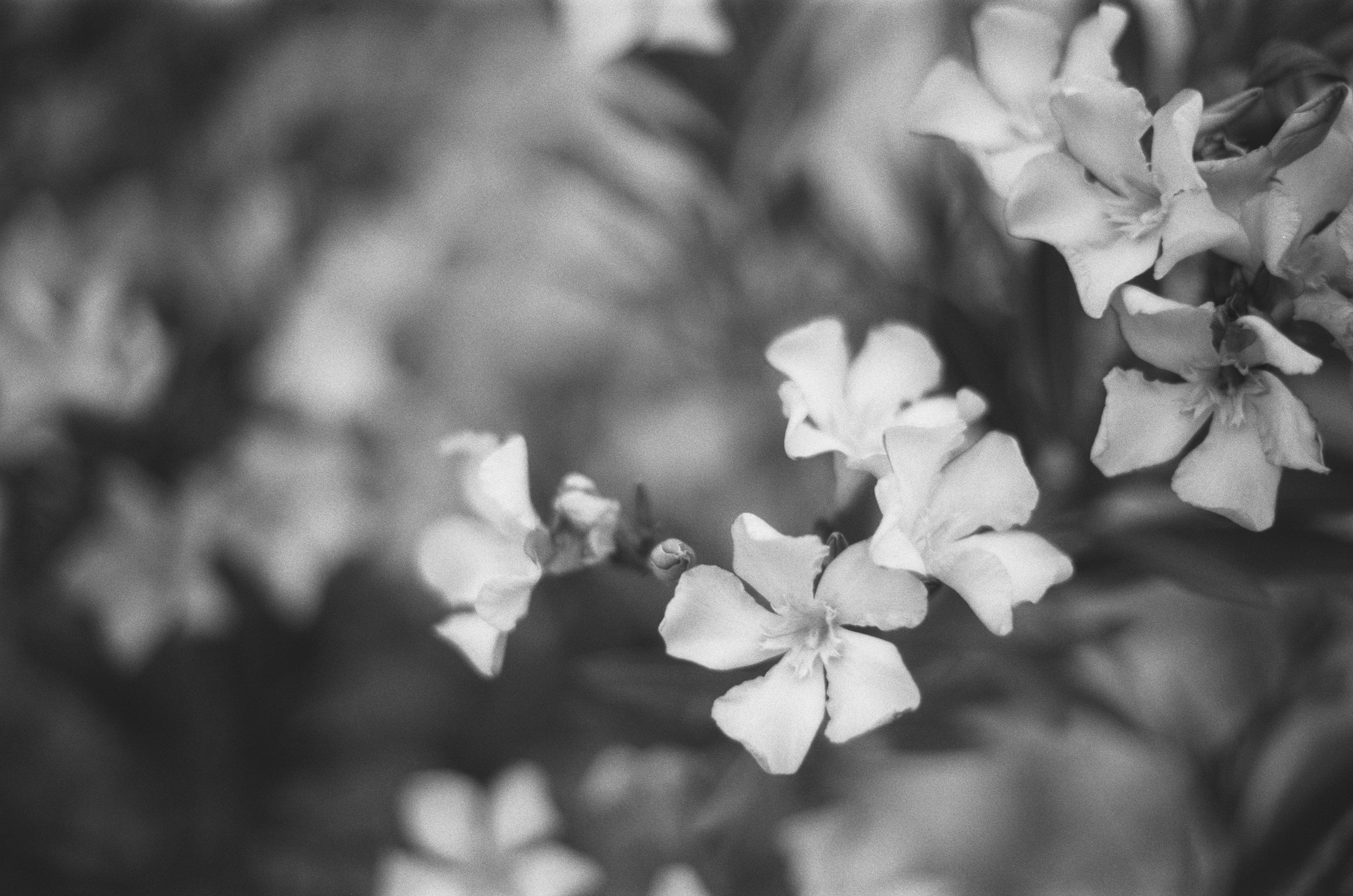 Move me // ukraine, crimea II. EVER EXPOSED