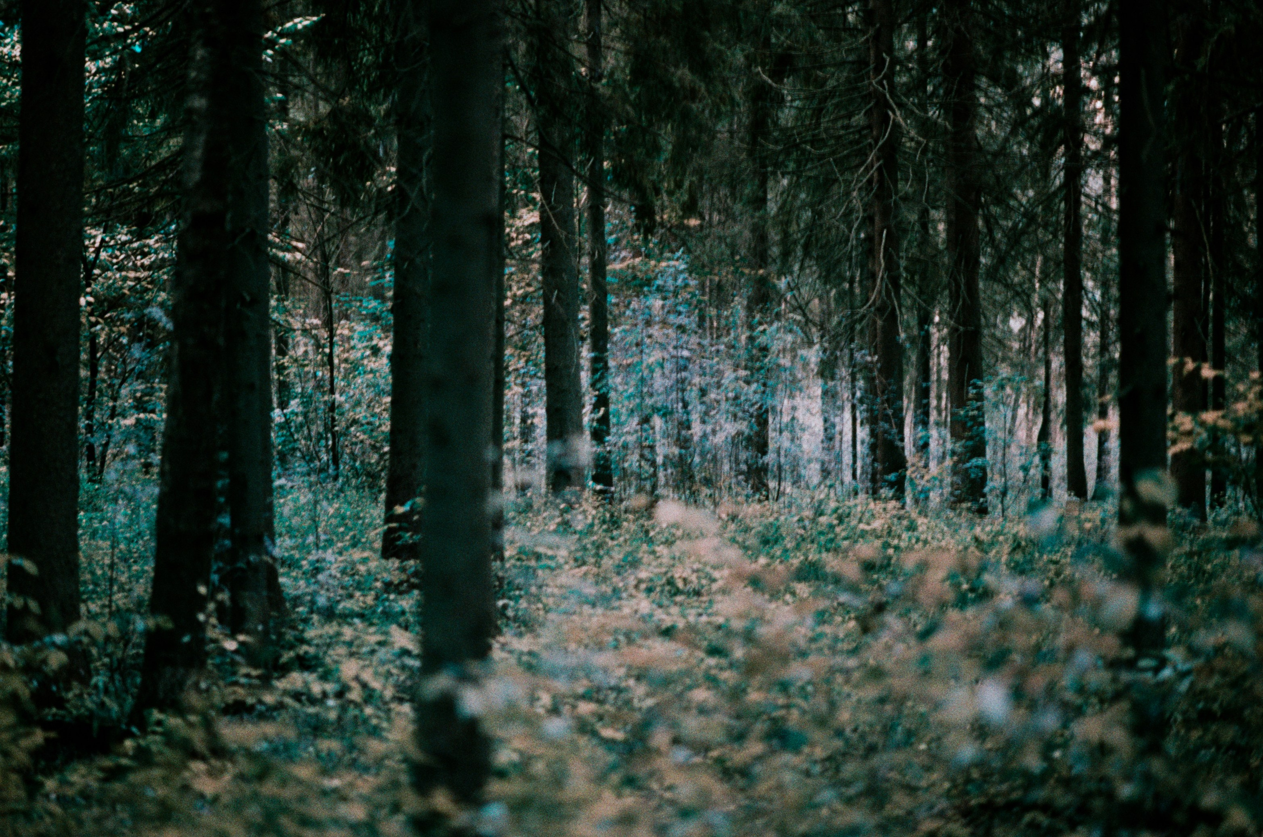 Post blue. EVER EXPOSED