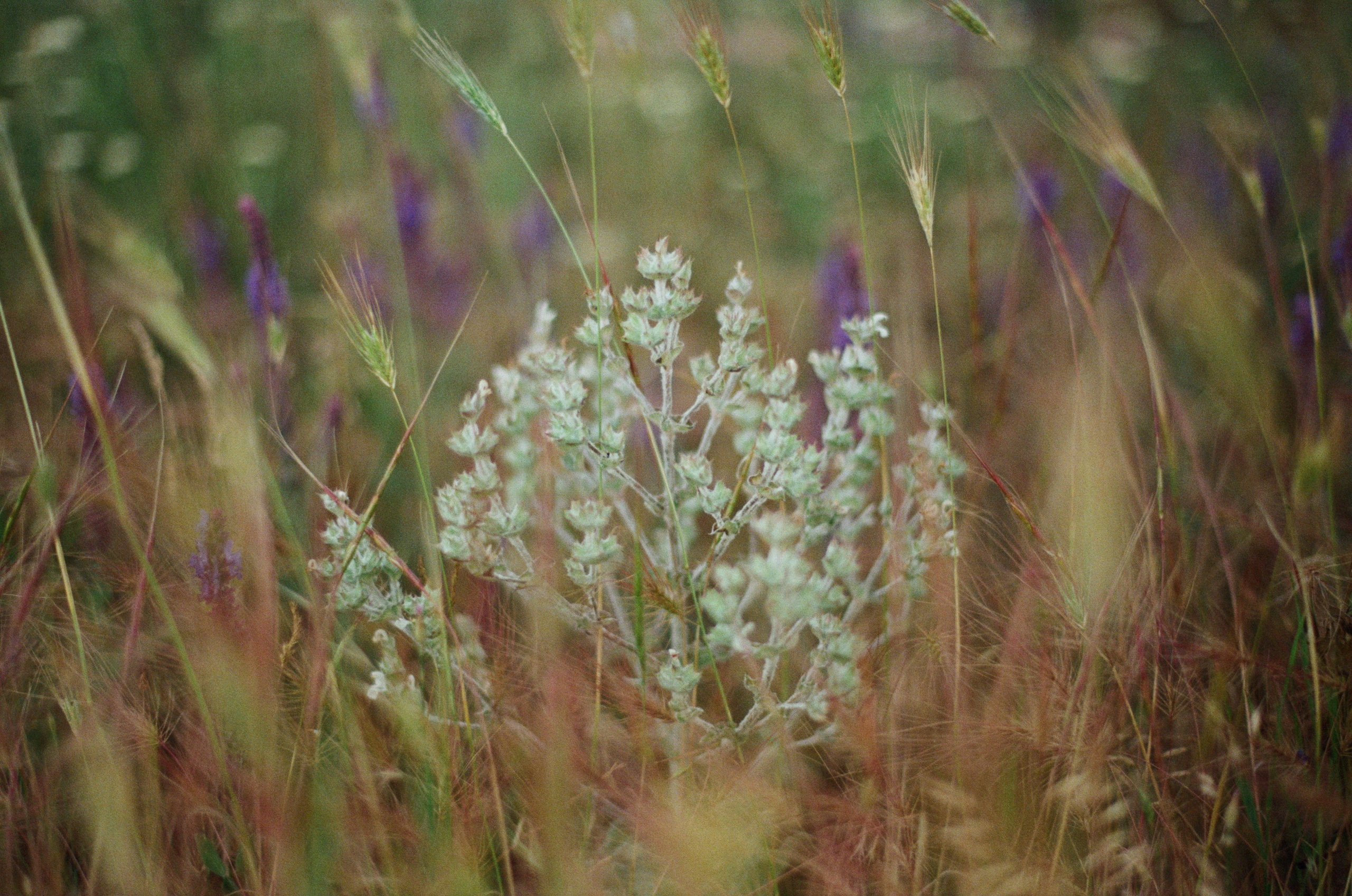 This time // ukraine, crimea V. EVER EXPOSED