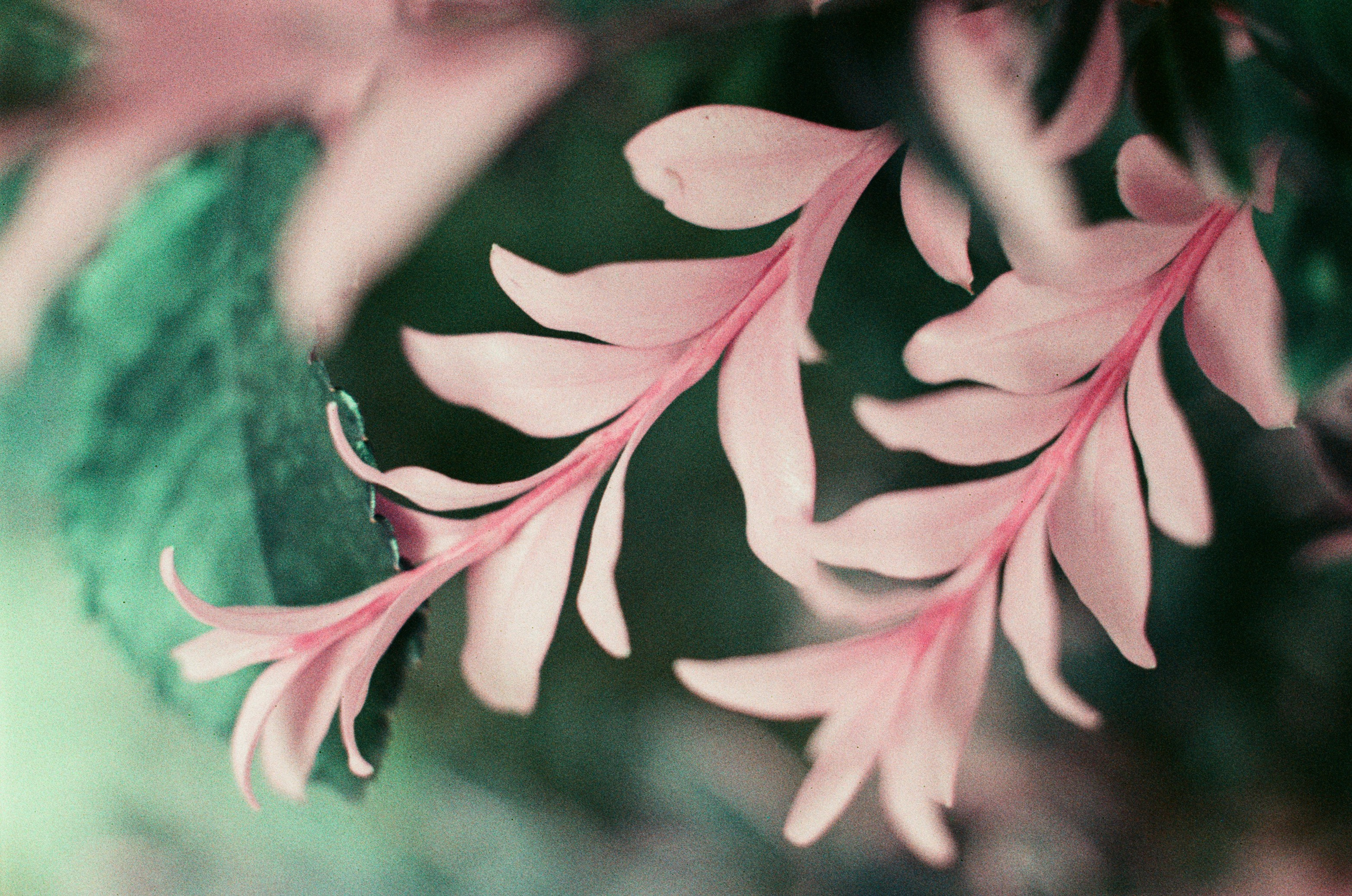 Point of no reply // ukraine, crimea VIII. EVER EXPOSED