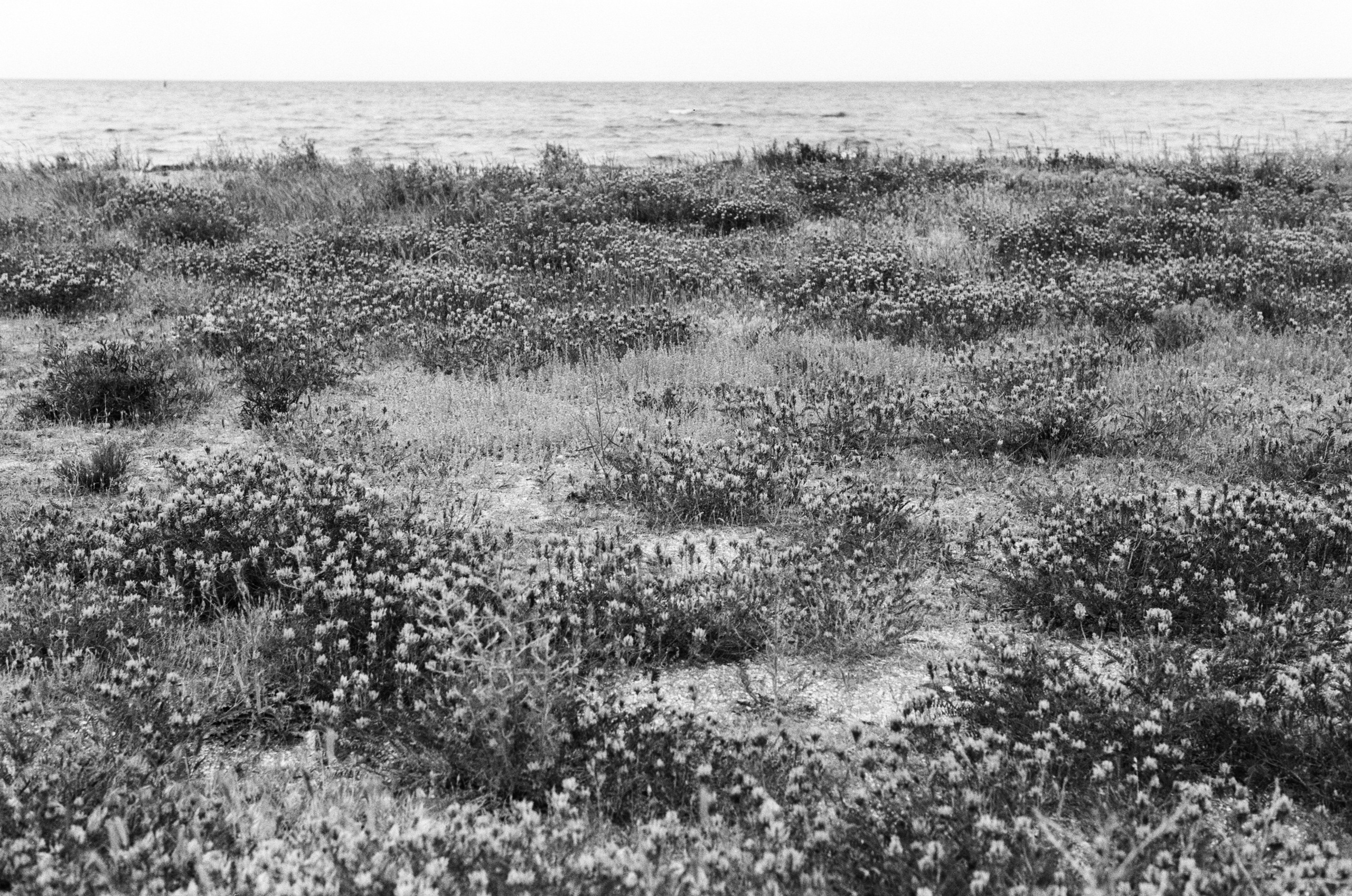 Sparks // ukraine, crimea III. EVER EXPOSED