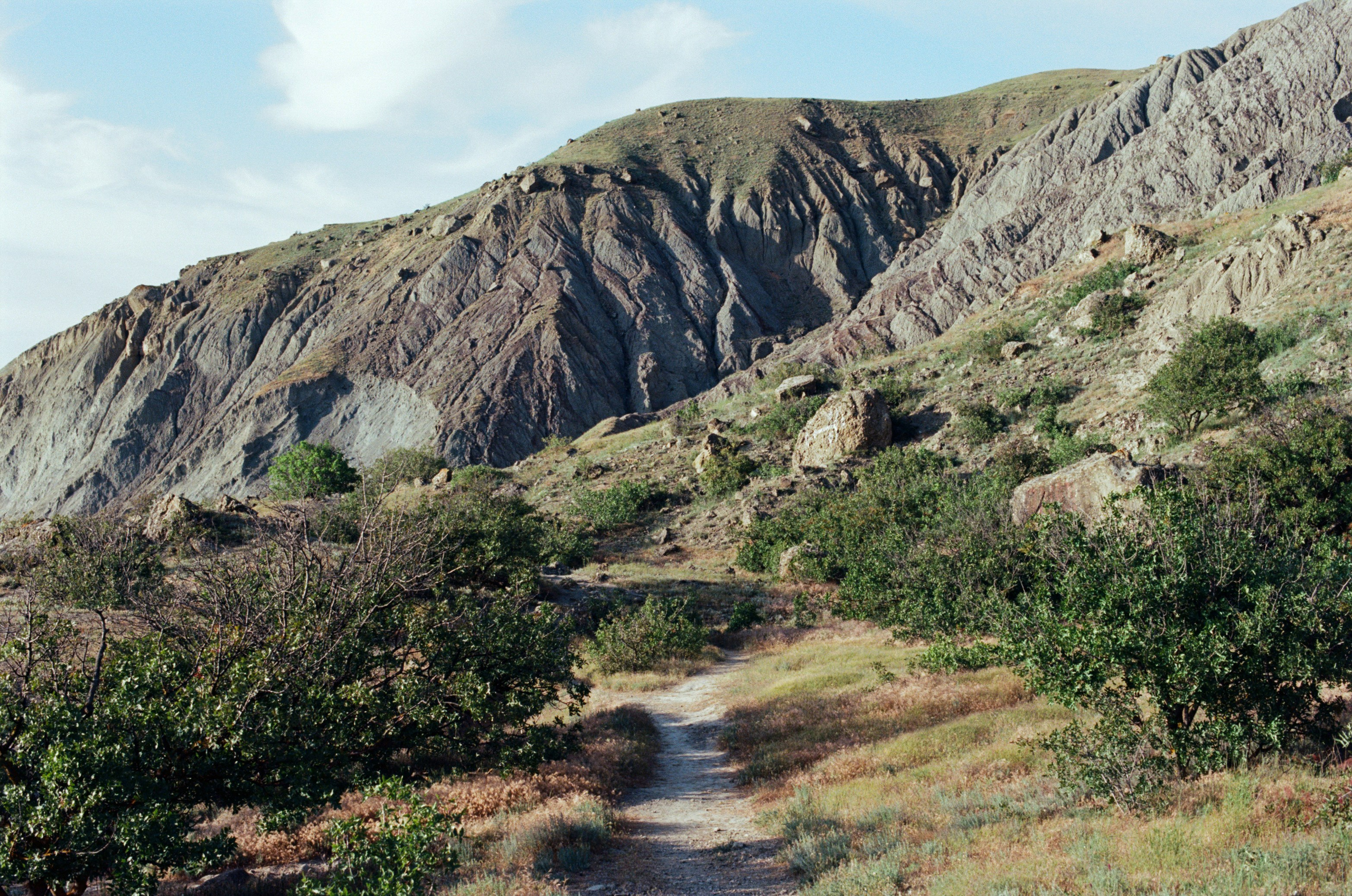 Kool-aid // ukraine, crimea IV. EVER EXPOSED