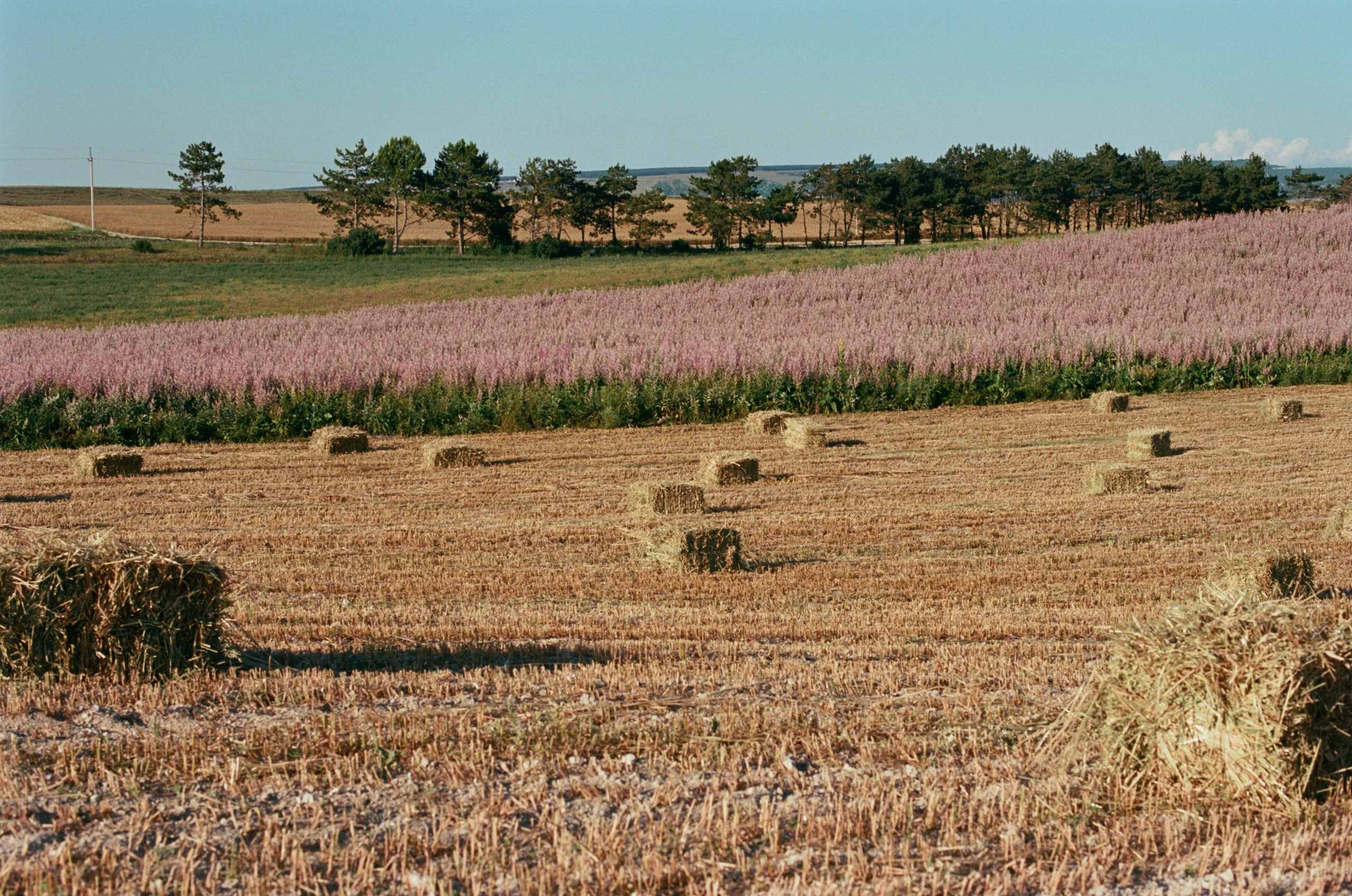 Silent running // ukraine, crimea VI. EVER EXPOSED