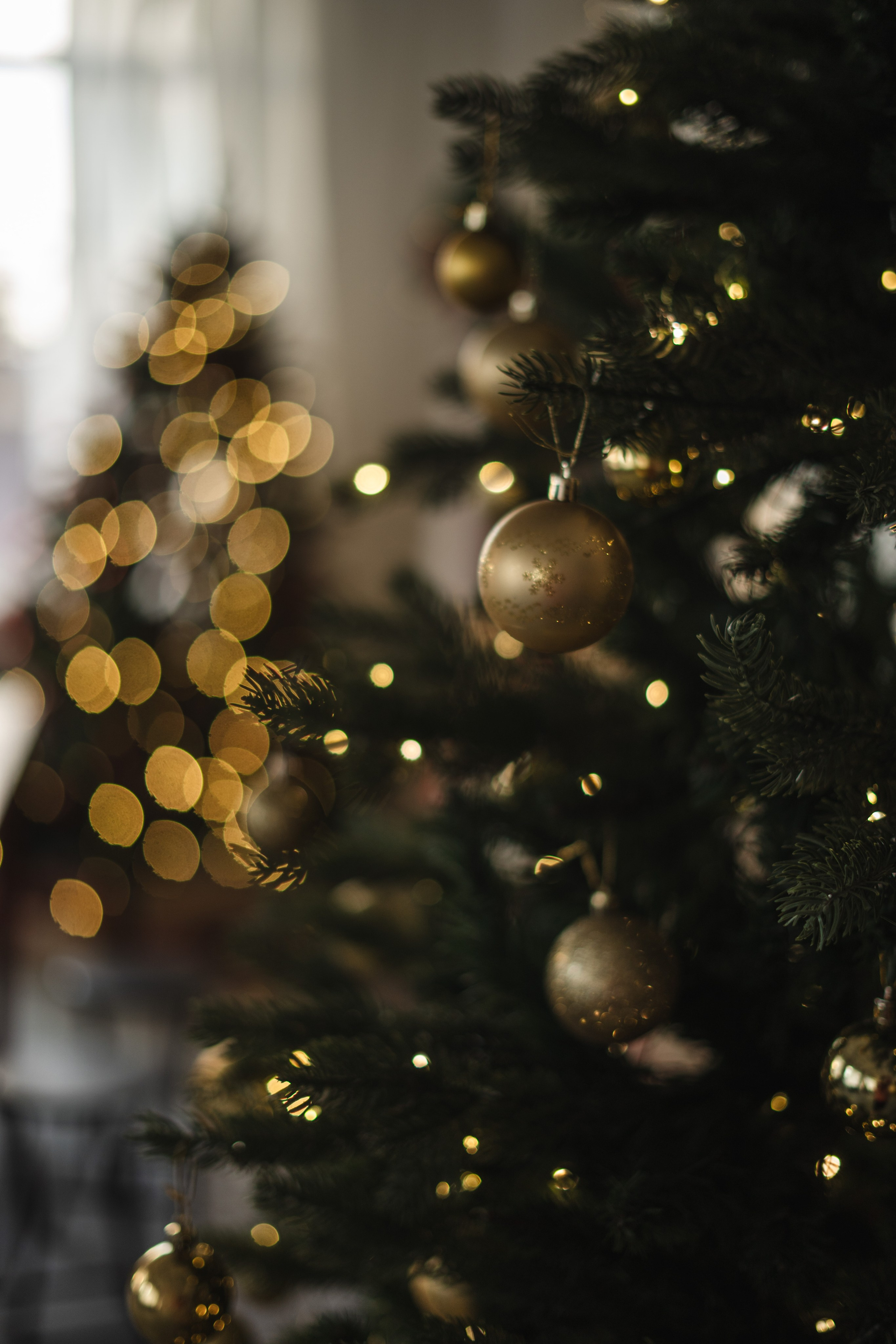 Фотостудия "Импульс" Саратов новогодняя фотосессия