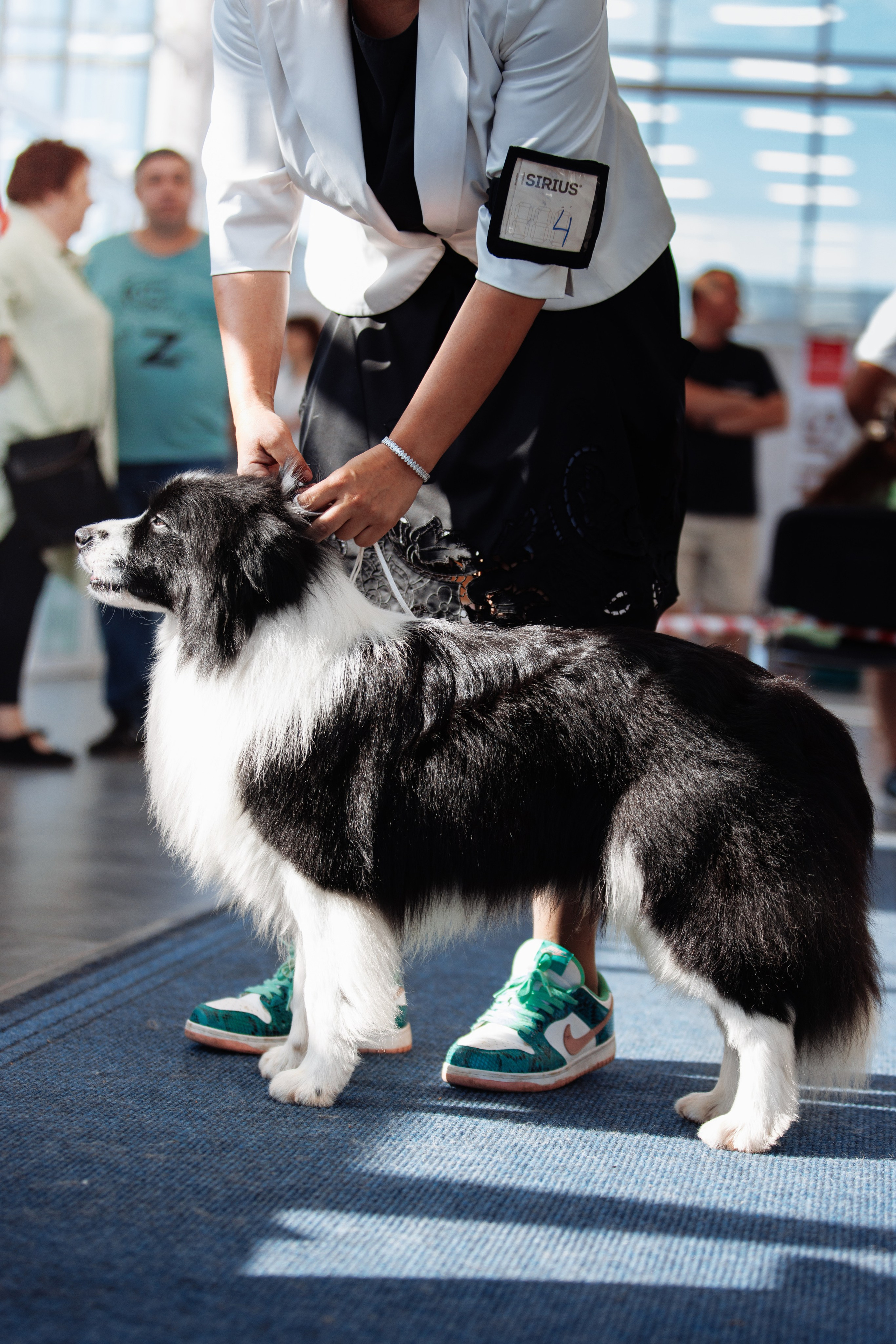 Zenith Mystique Regni — Дени. О нас