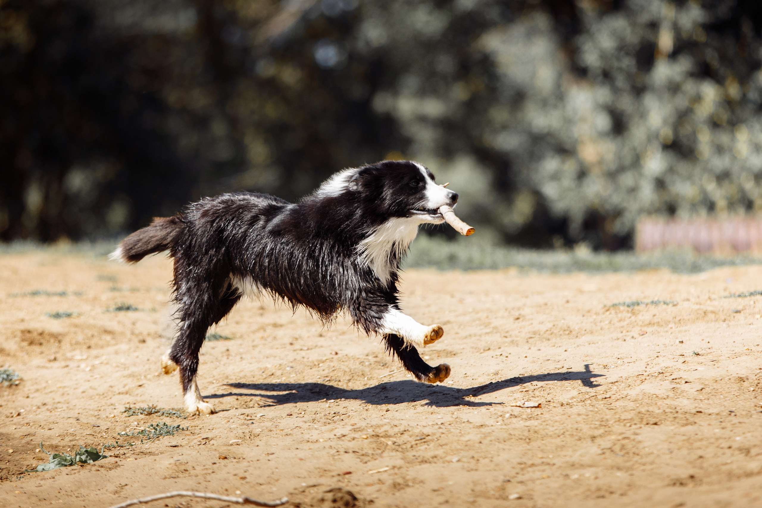 Водяные в Новотроицке. О нас