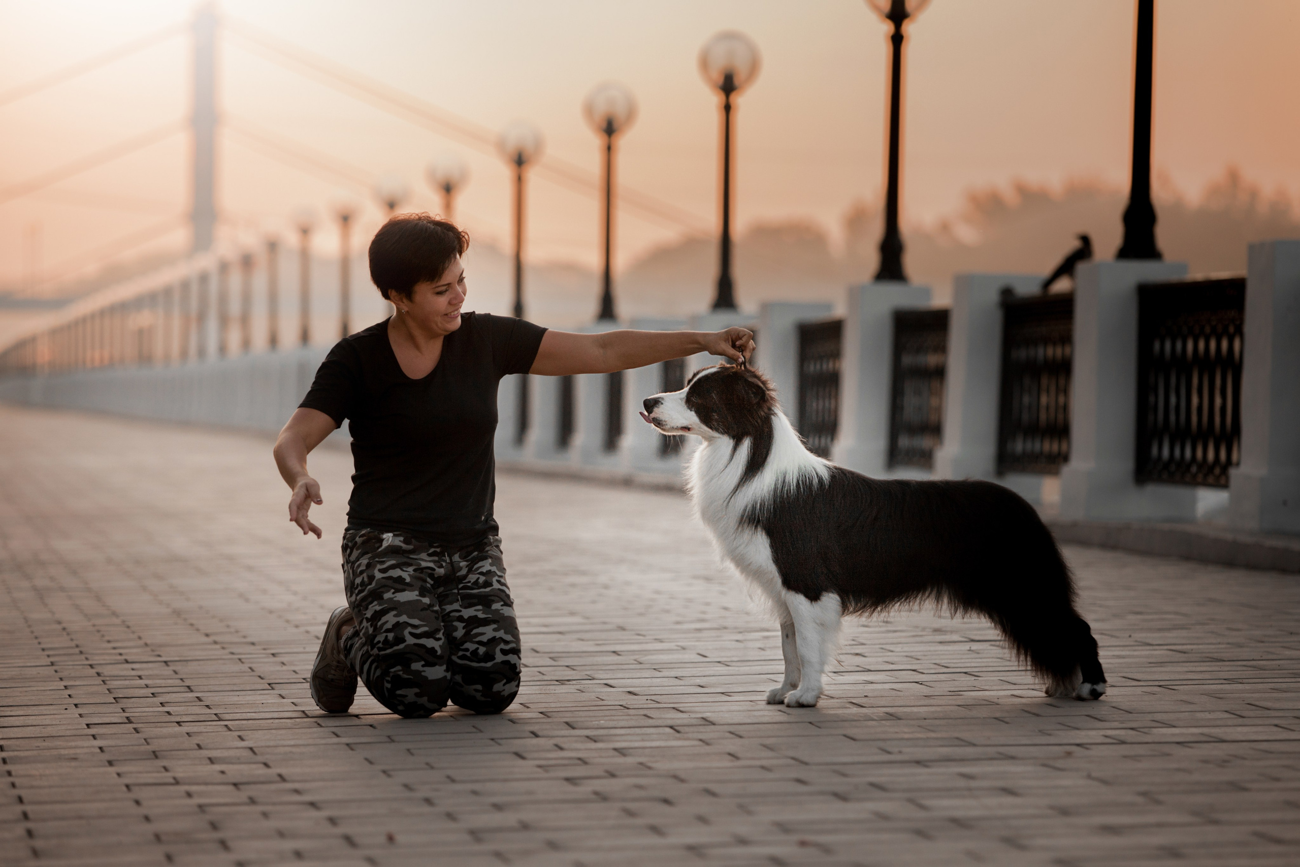 Сочный рассвет, на который решились. О нас