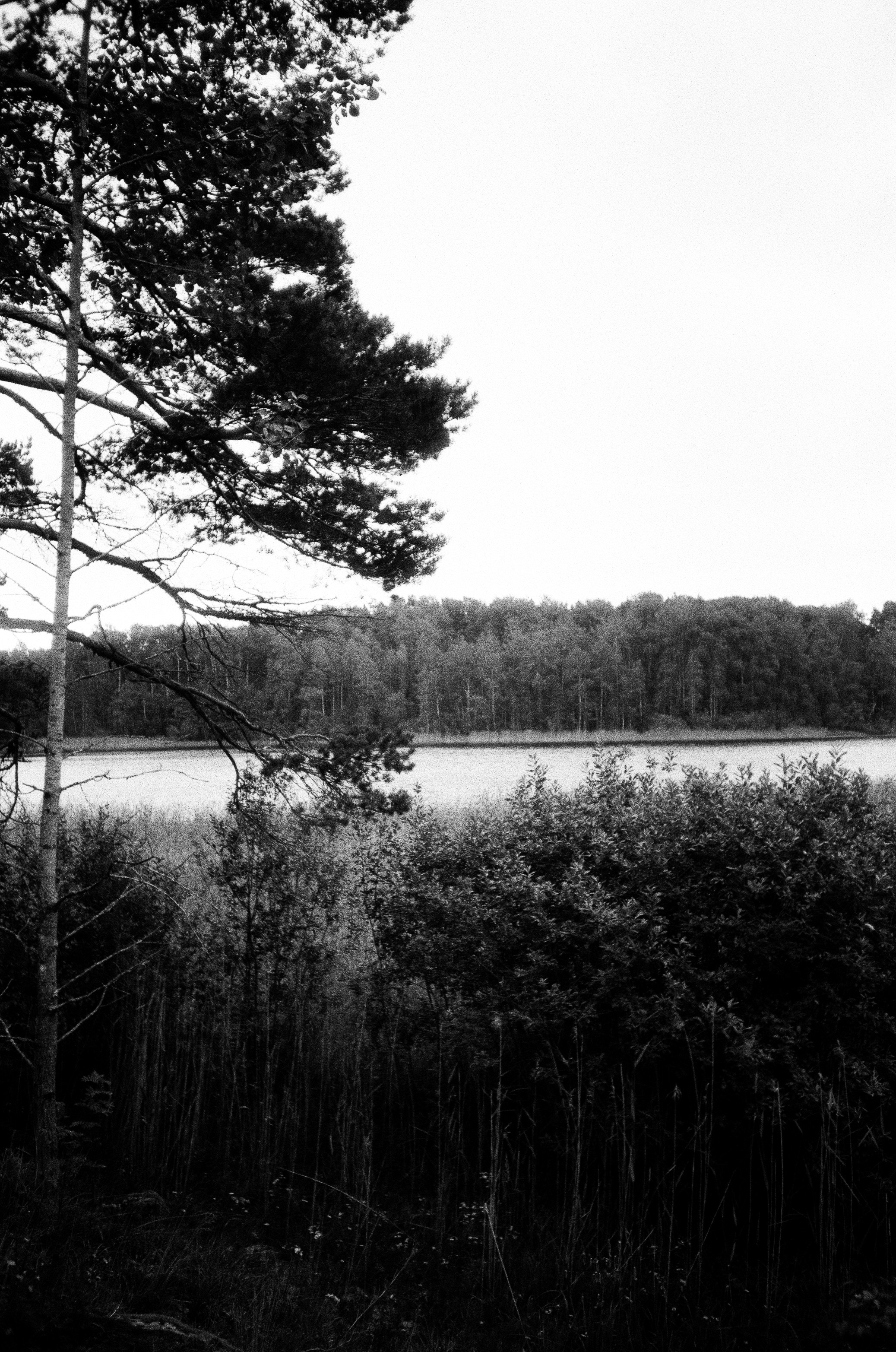 Elena Raya • Photographer