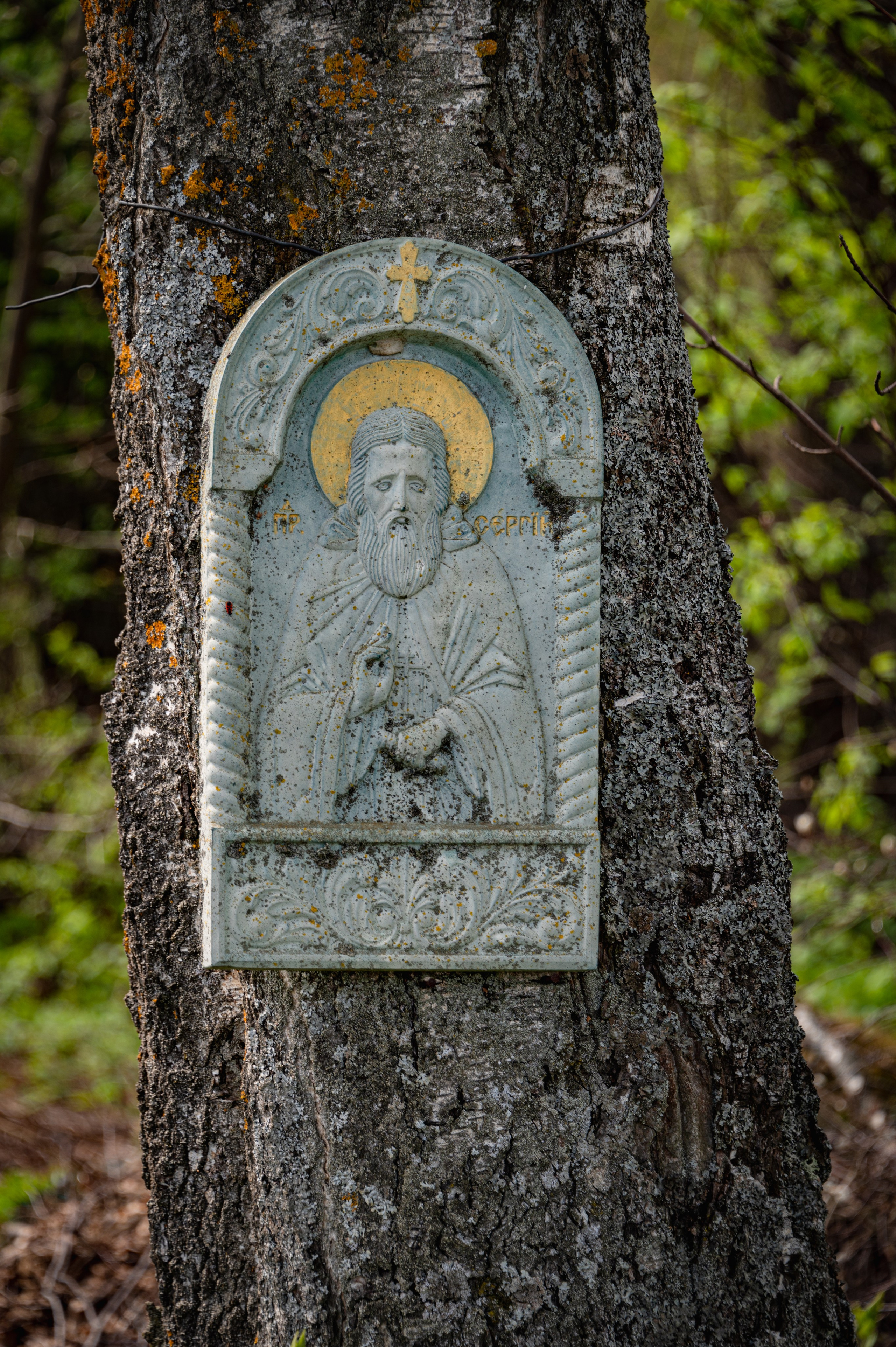 Кострома. Май 2023. Фотограф Роман Адлер