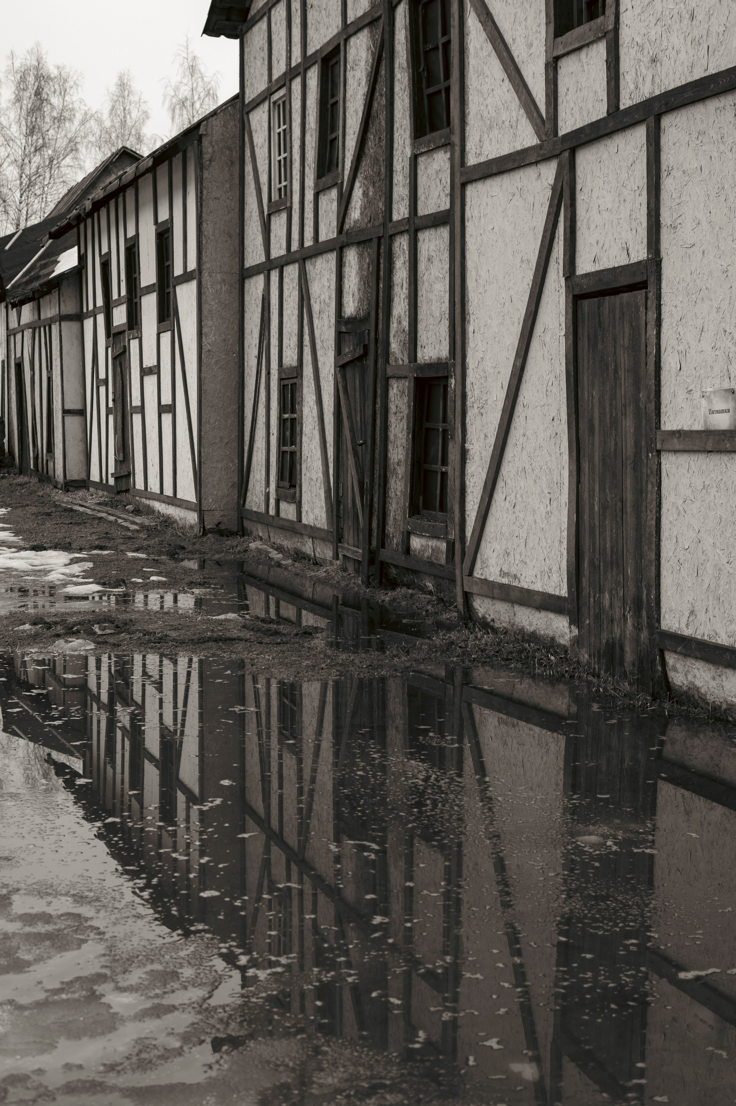 Фотопрогулка апрель 2022. Фотограф Роман Адлер