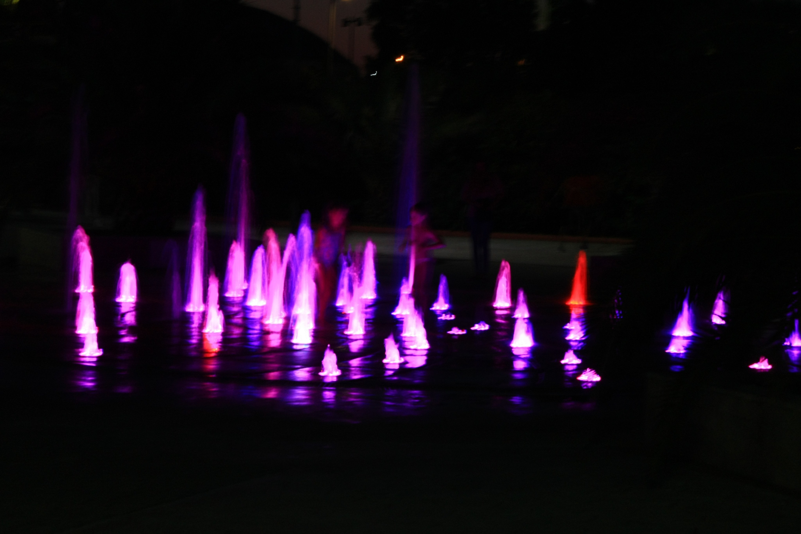 Первые кадры. Сочи — парк. Фотограф Роман Адлер