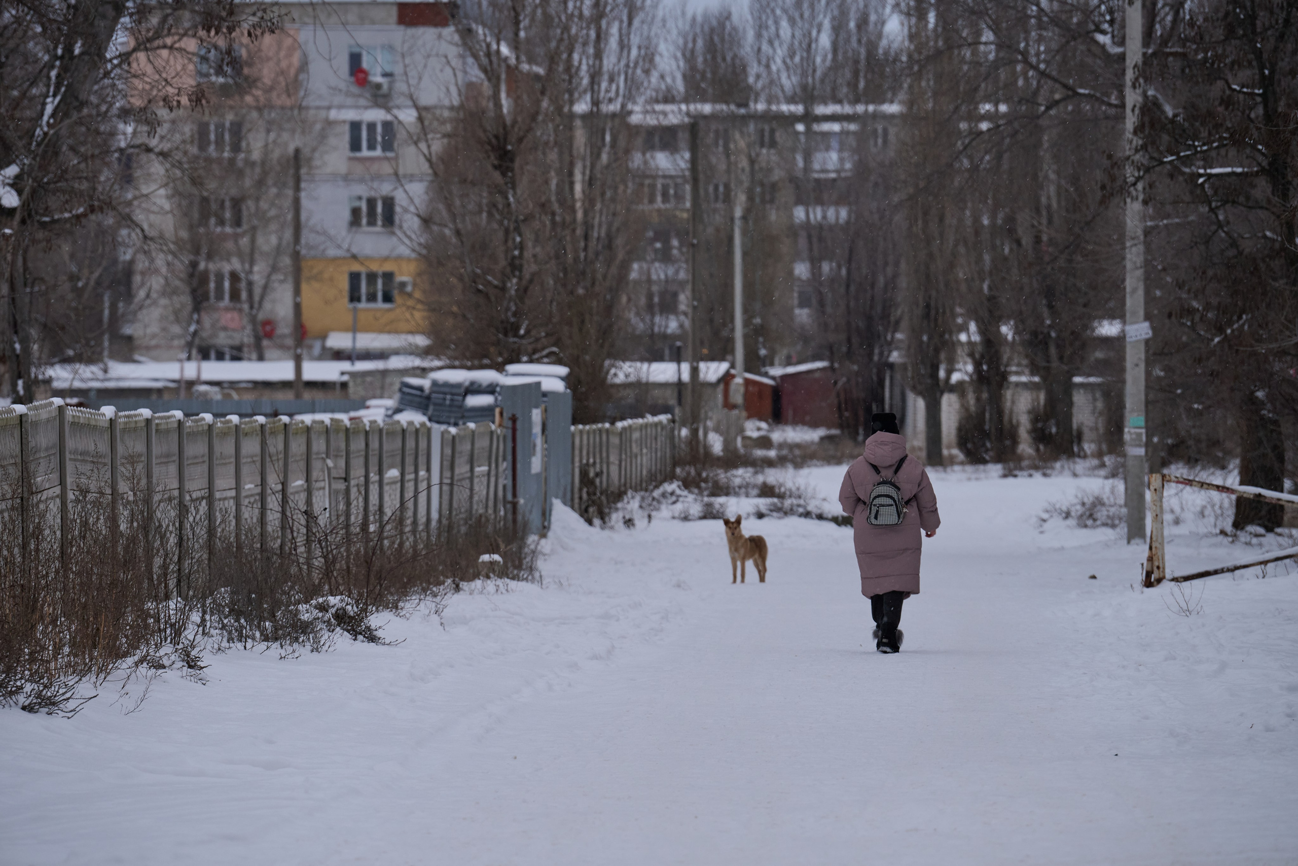 Рубежное. Январь 2026. Фотограф Роман Адлер