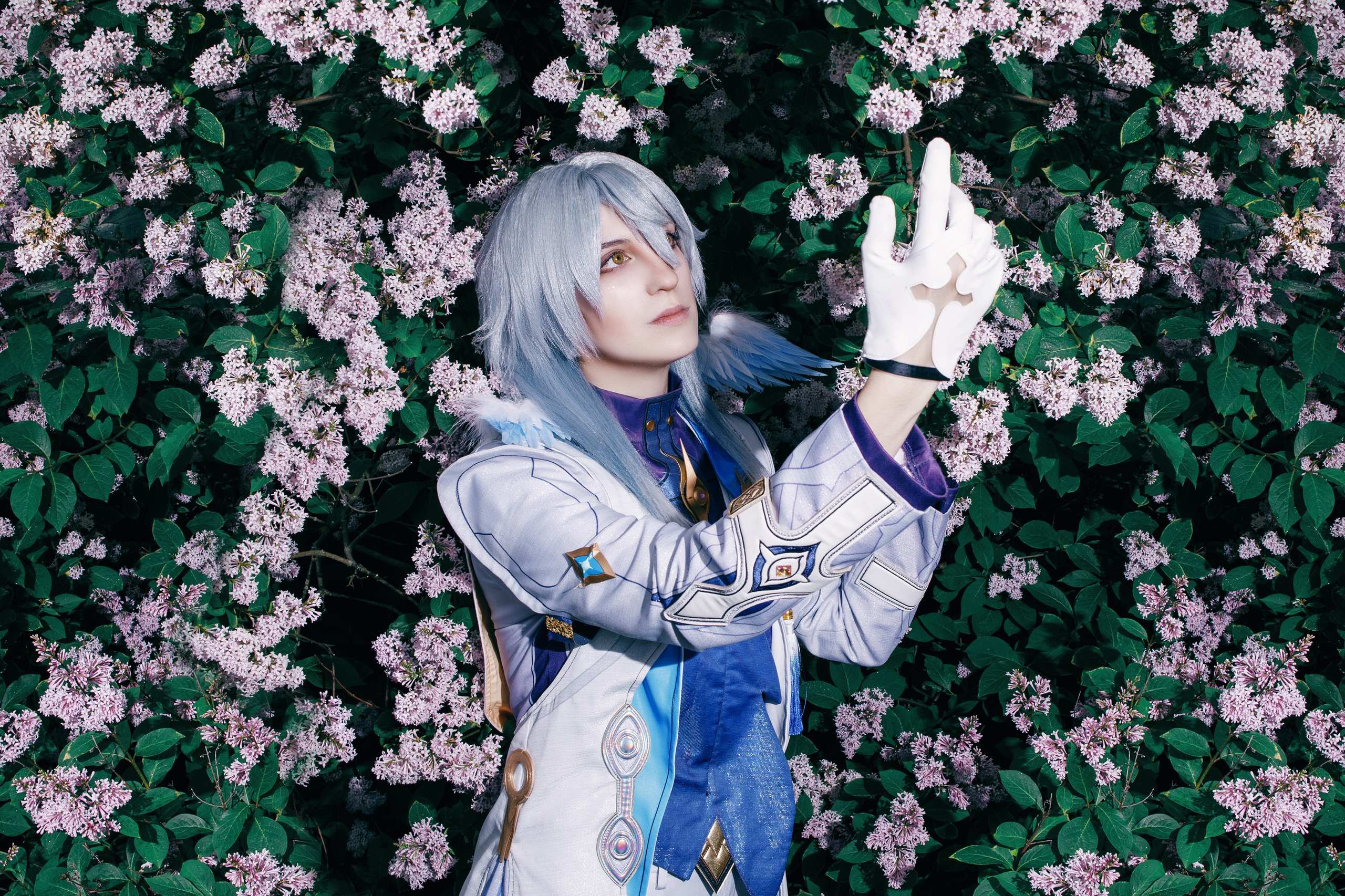 HSR: Robin & Sunday. Polaroud love