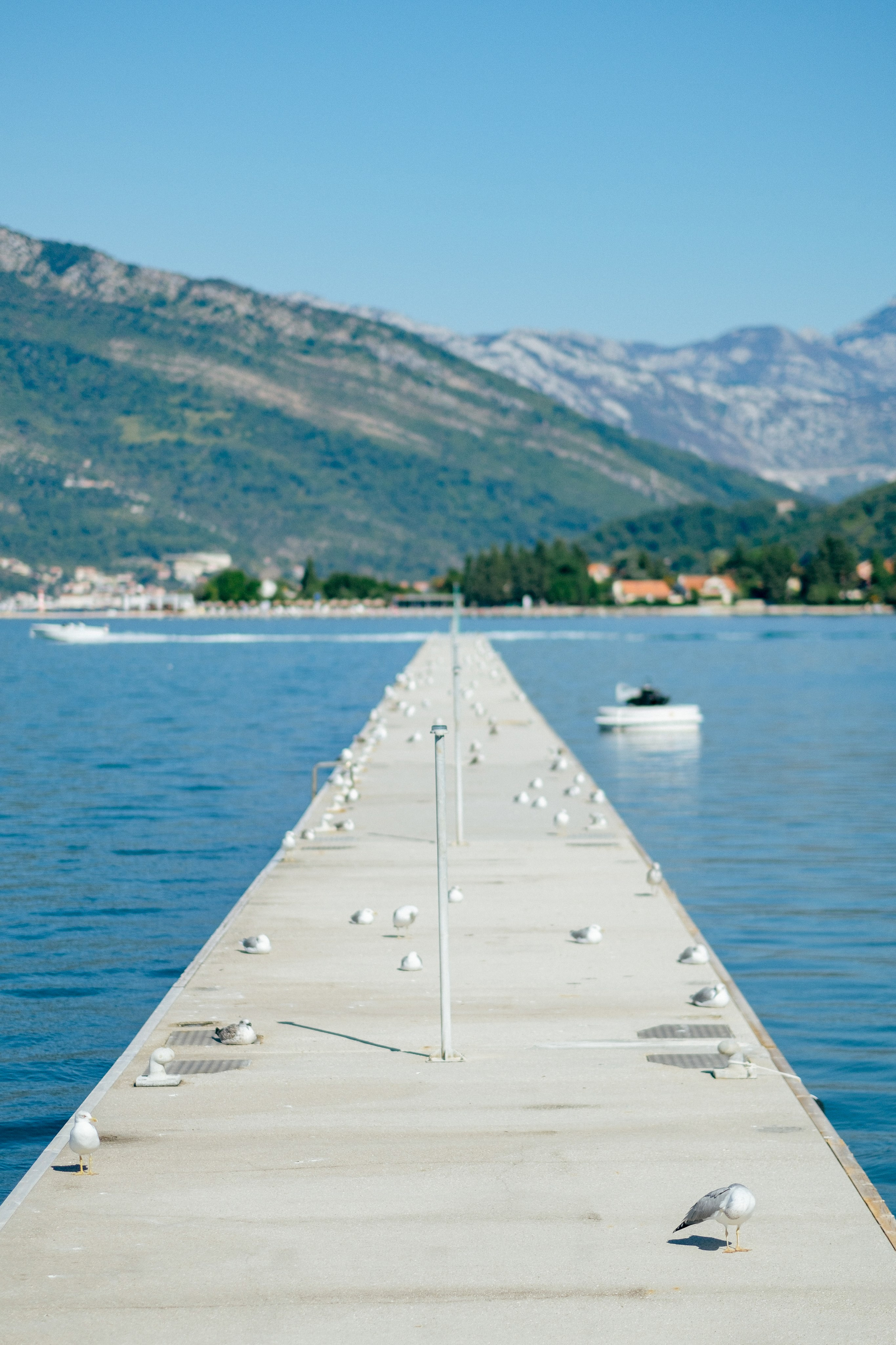 Черногория. Свадебный Видеограф Фотограф в Сочи