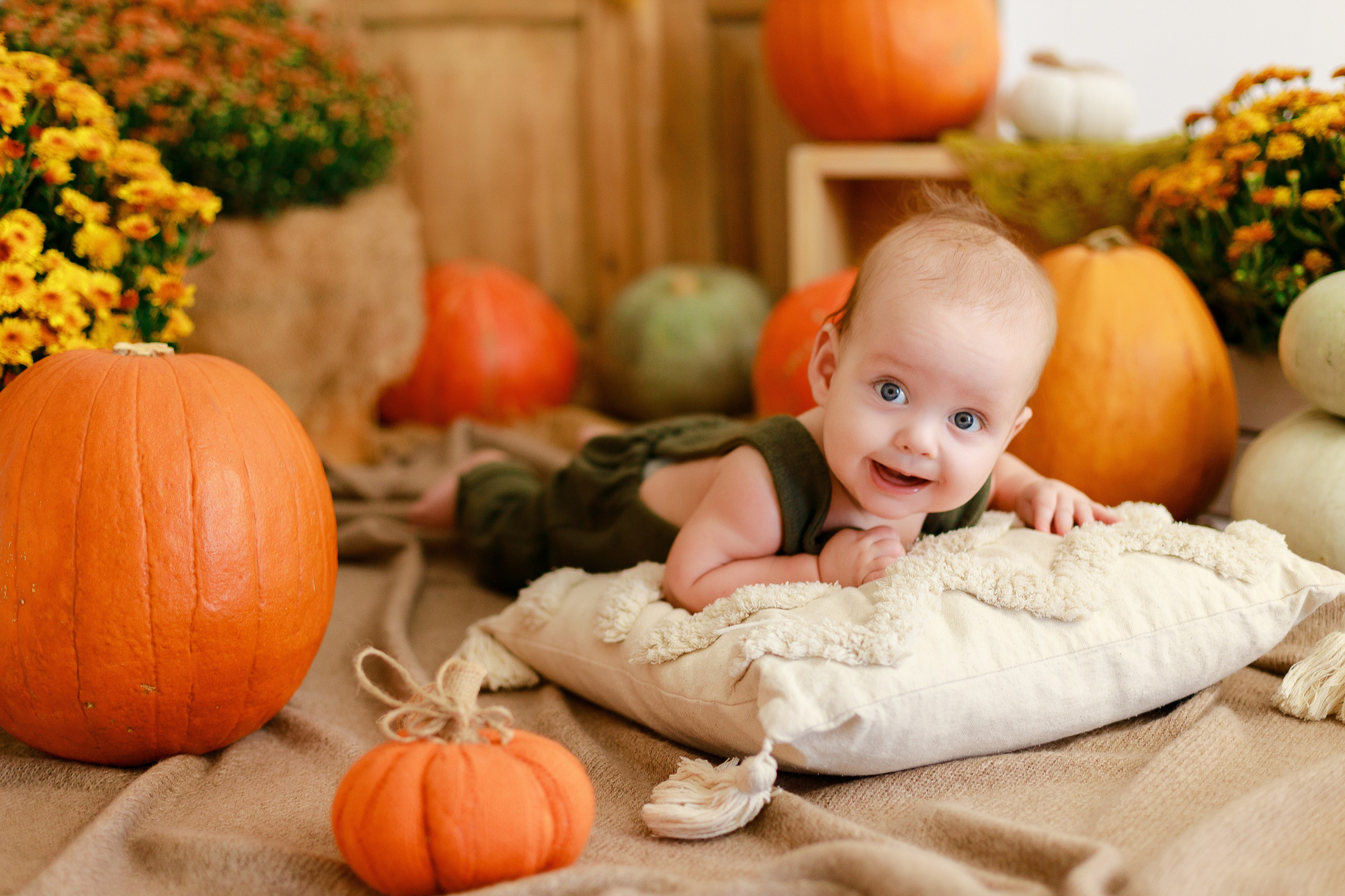 Осенняя детская фотосессия с тыквами и кроликом в Краснодаре. Детский и семейный фотограф в Краснодаре Альбина Морозова