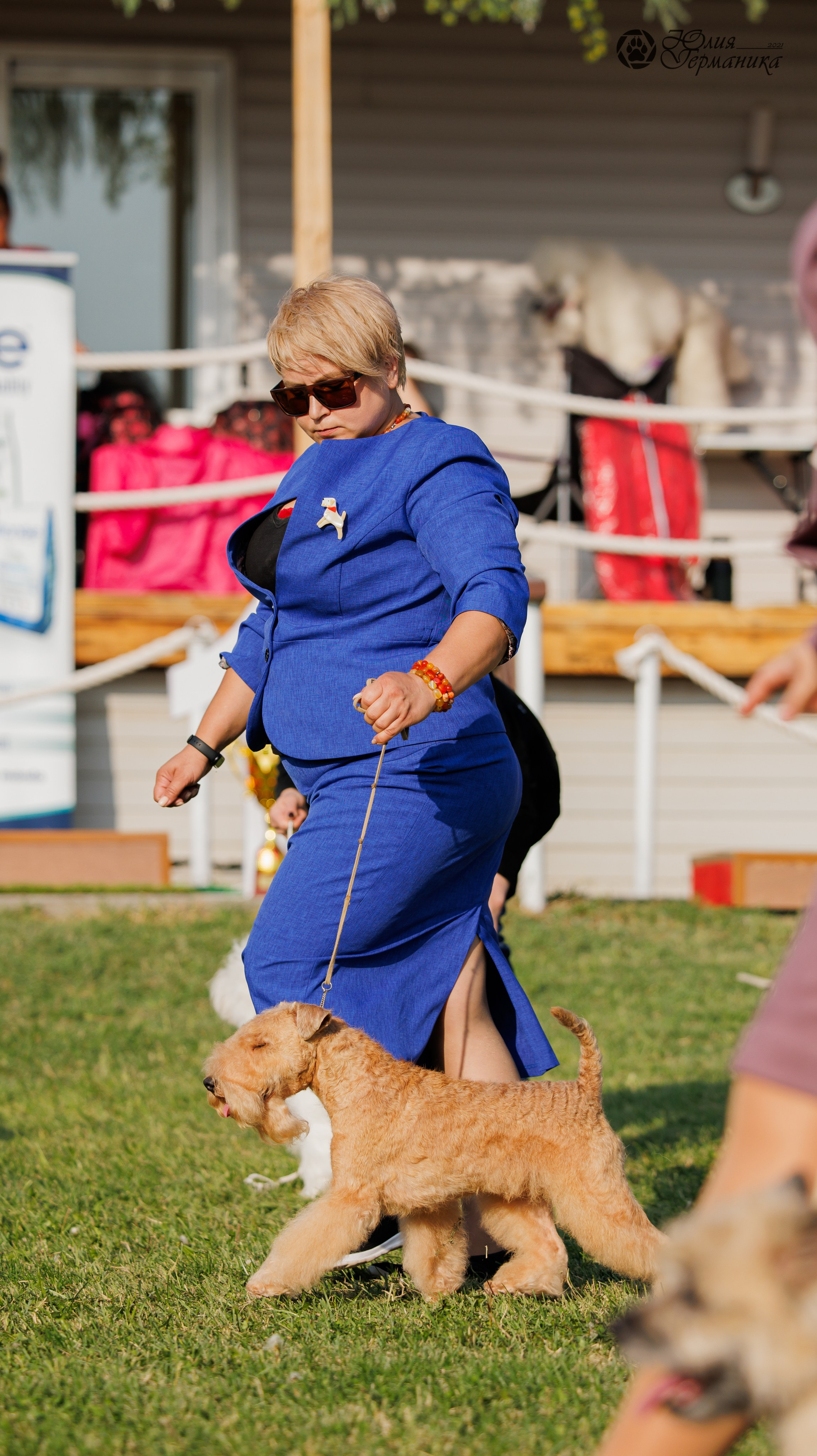 Армения,Ереван 3хCACIB 15-17.10.2024. Фотограф-анималист Юлия Германика