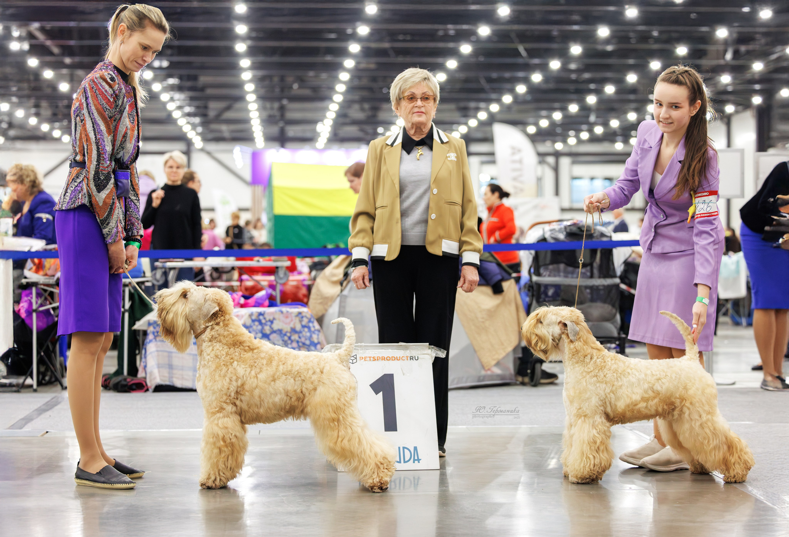 Питер 12-13.12.2025. Фотограф-анималист Юлия Германика