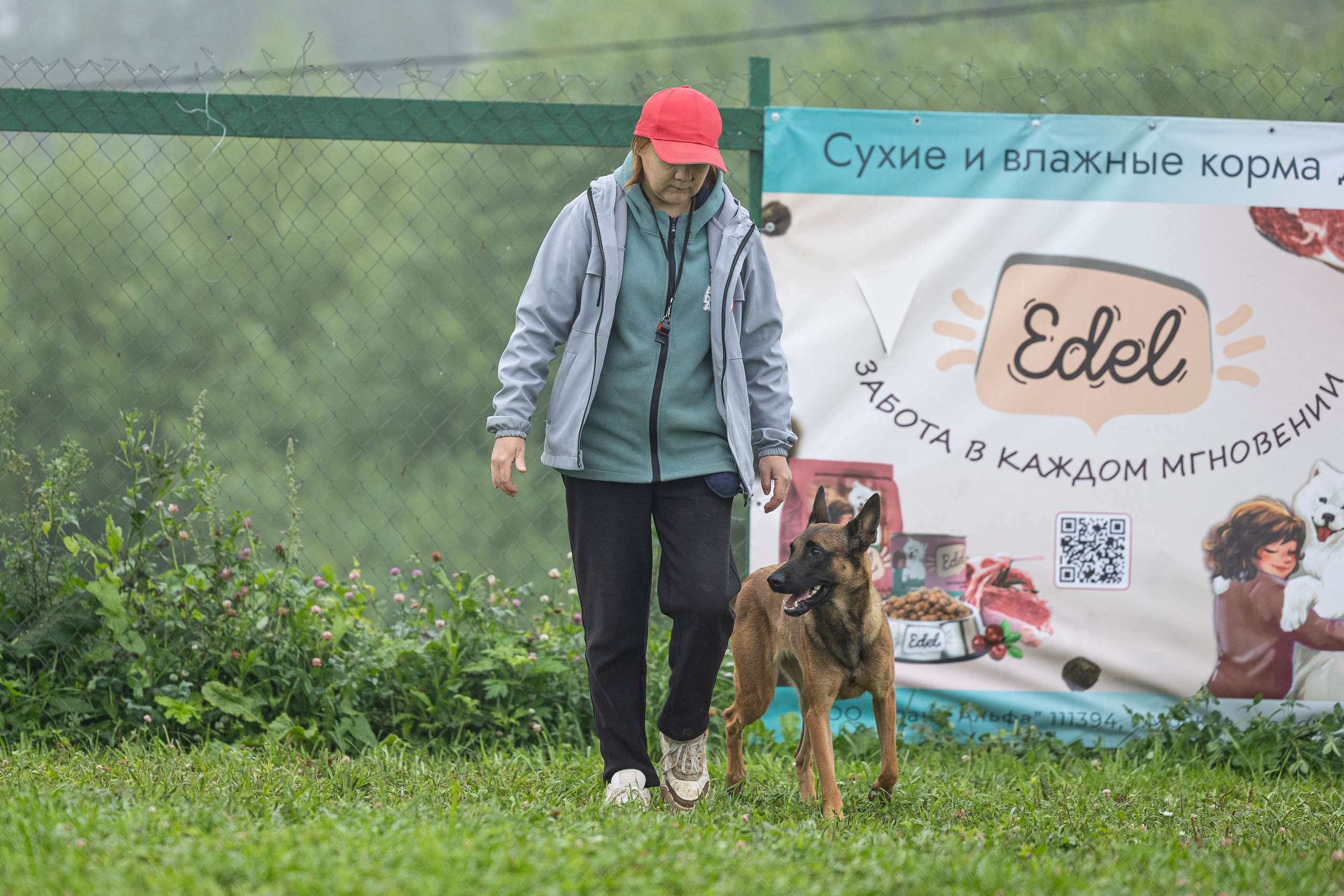 Соревнования по Мондьорингу г. Вологда 10-11.08.2024. Фотограф-анималист Анна Маринич