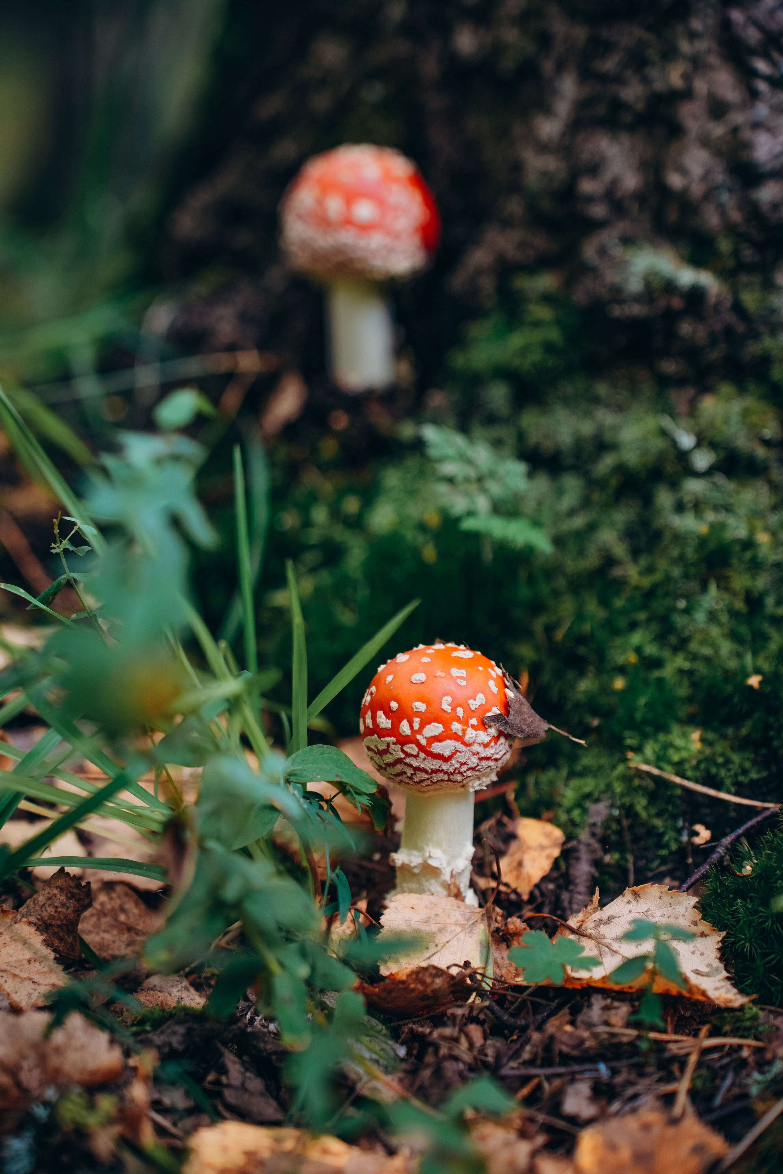 СЕВЕР. Event фотограф Степанова Александра