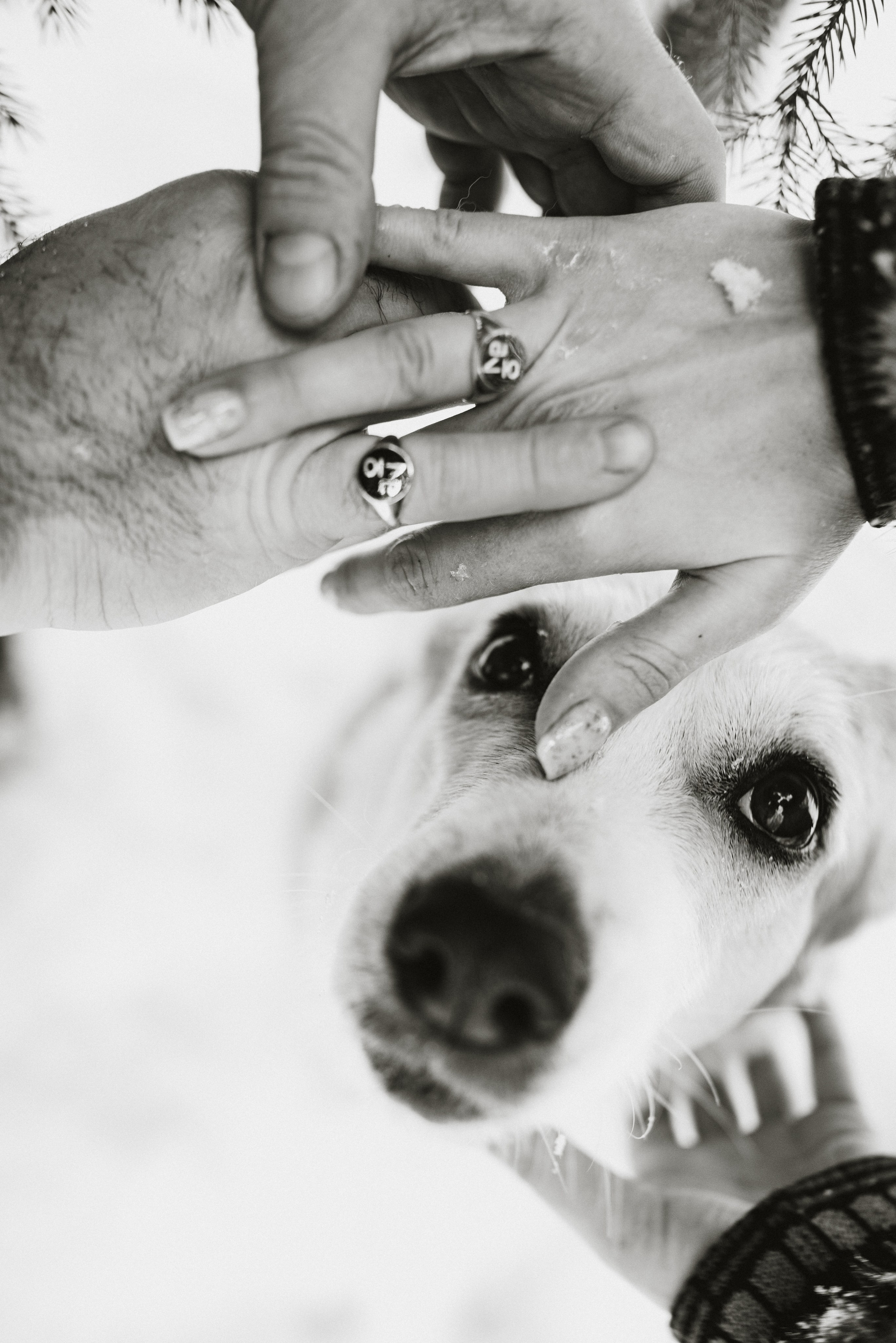 Свадебная съёмка в зимнем лесу. Фотоведьма Дарья Нечинская