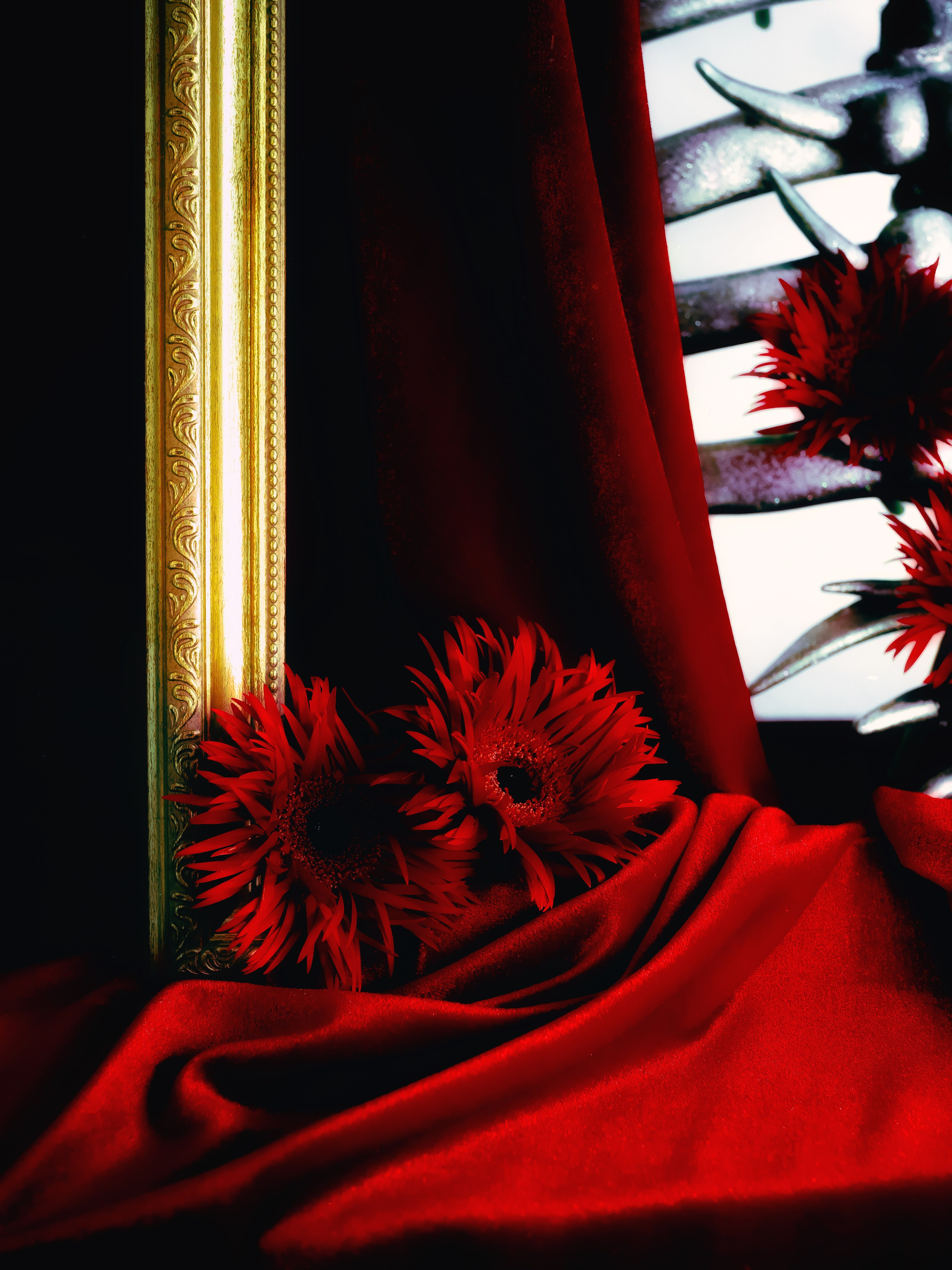 Арт директор, фотограф в СПб и Москве Картавцева Дар. Арт директор, фотограф в СПб и Москве Картавцева Дар