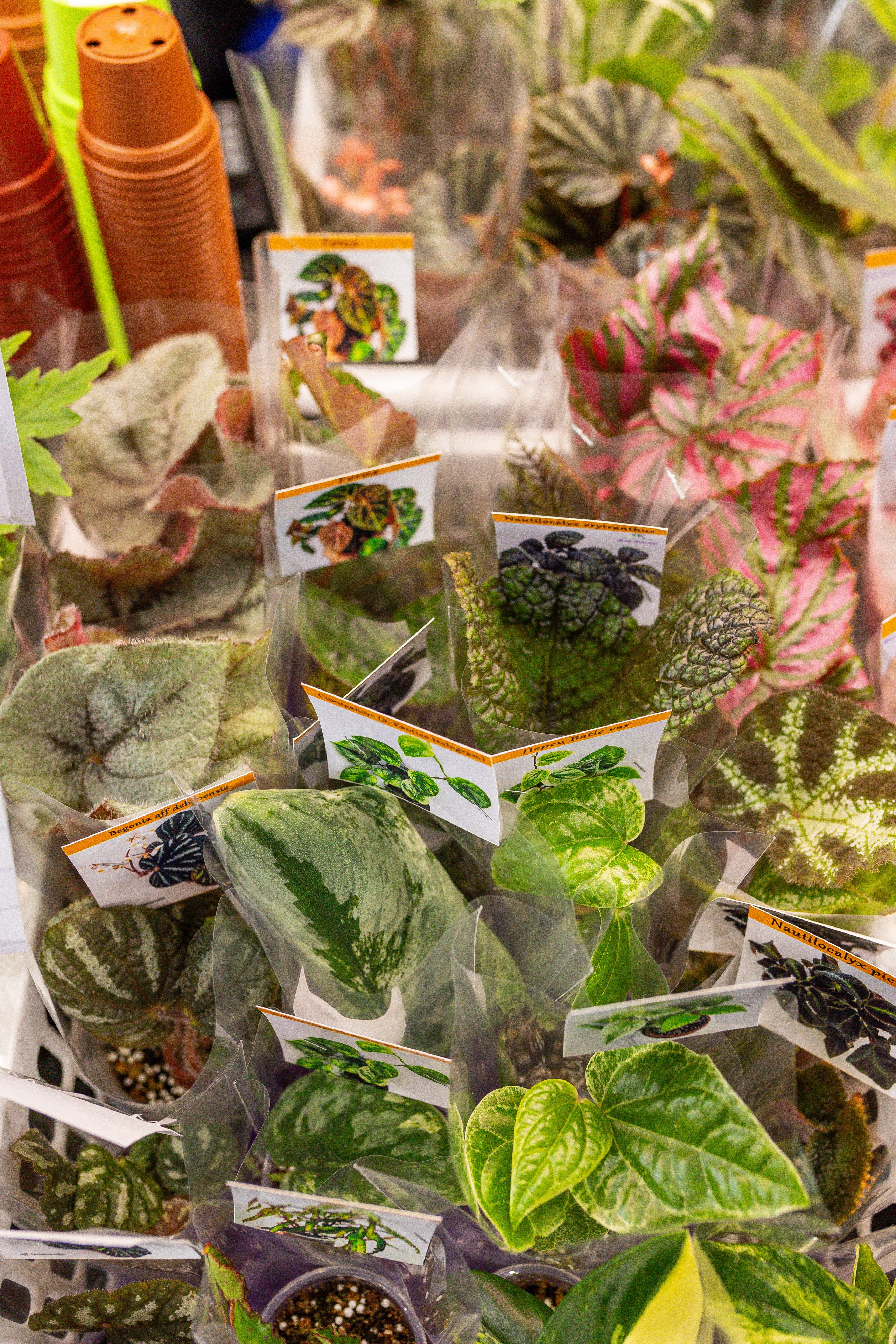 Монстериум апрель 2025. Александра Куликова фотограф, Москва