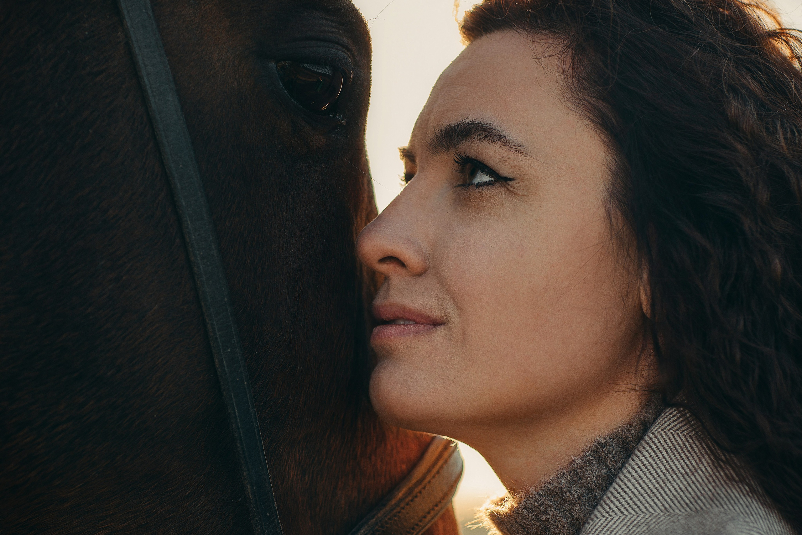 Наши пушистые дети. Главная