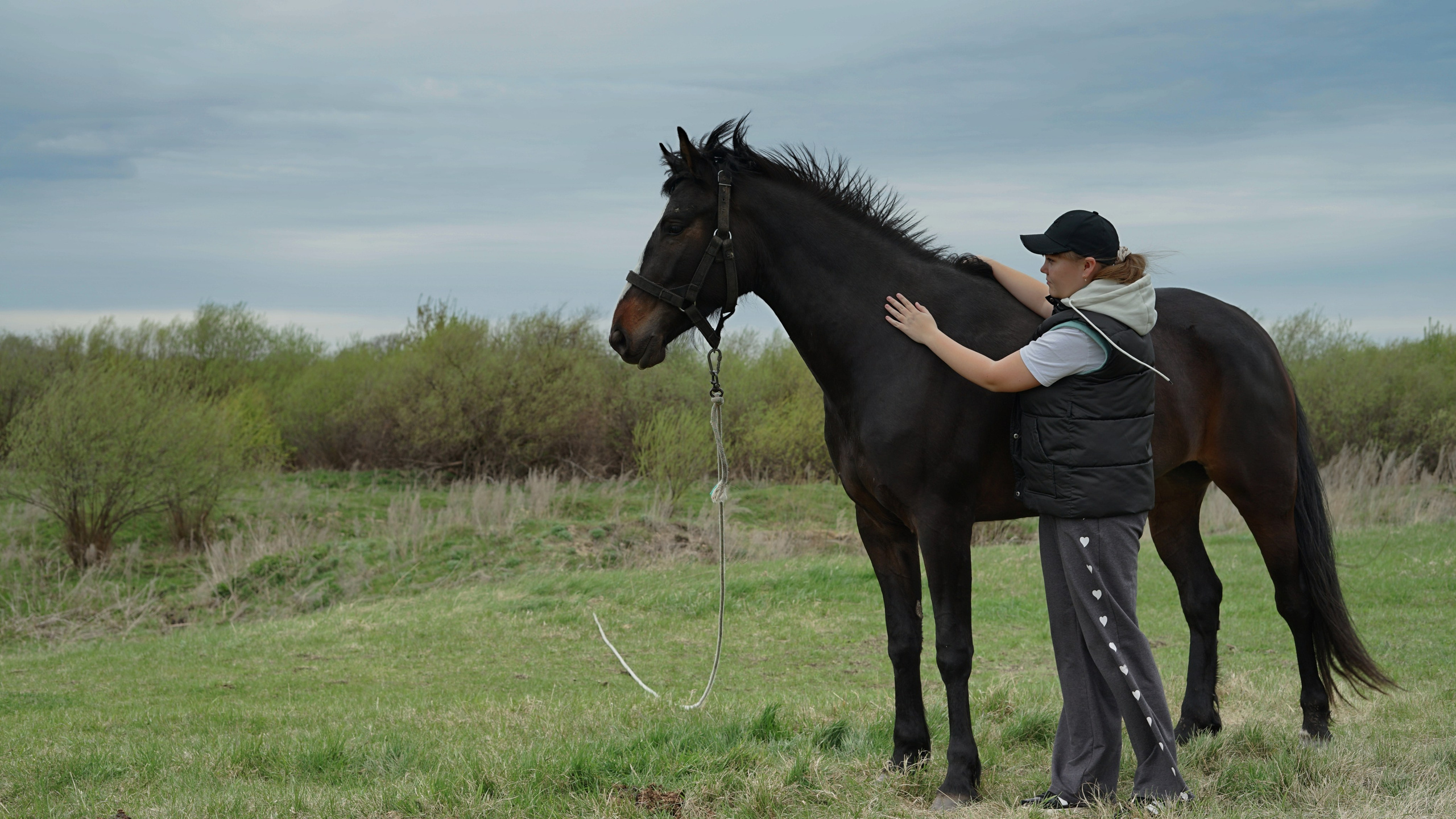Съемка с любимым питомцем