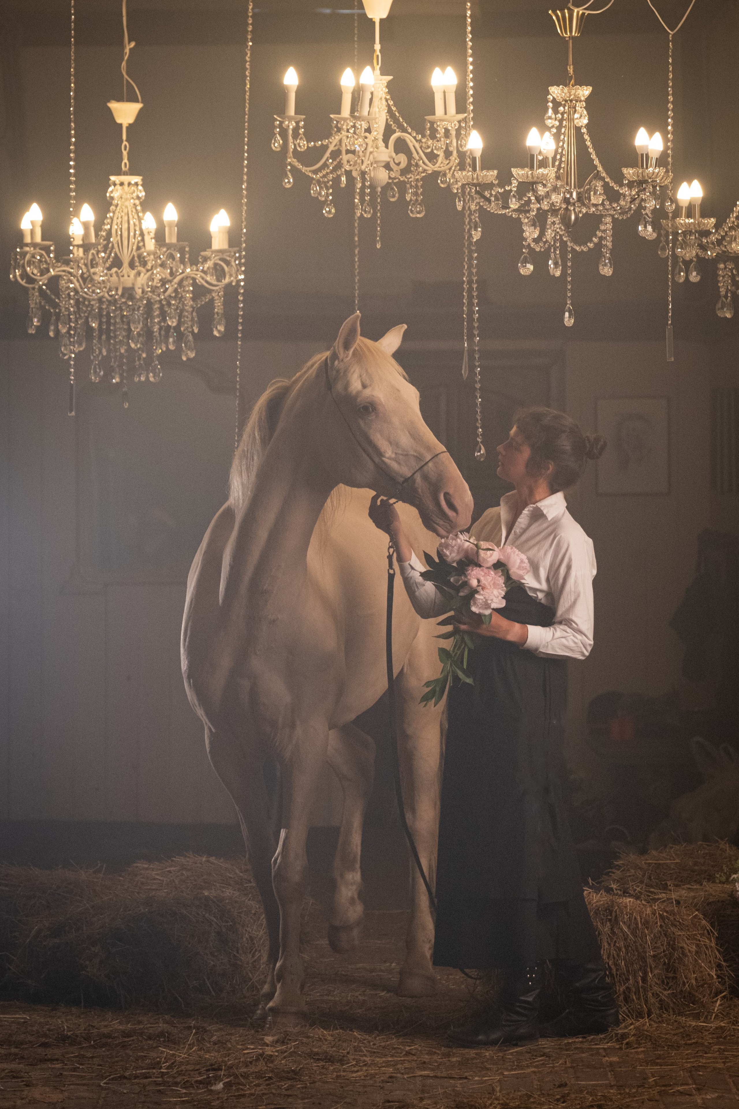 Аванпост, конное ранчо. Зоофотограф, фотограф животных в Москве и области Дина Дамоцева