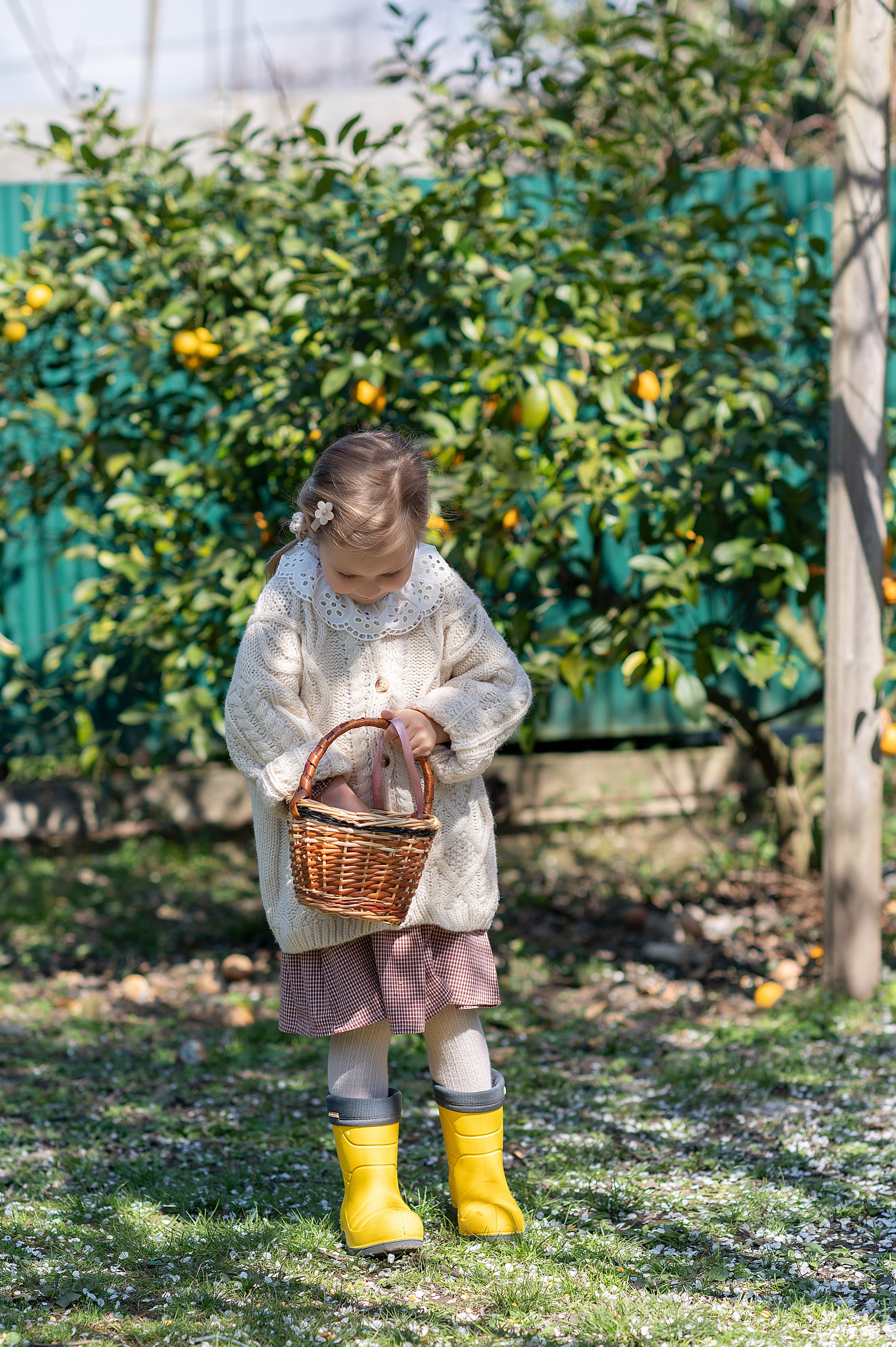 Курочки. Детский фотограф Абхазия