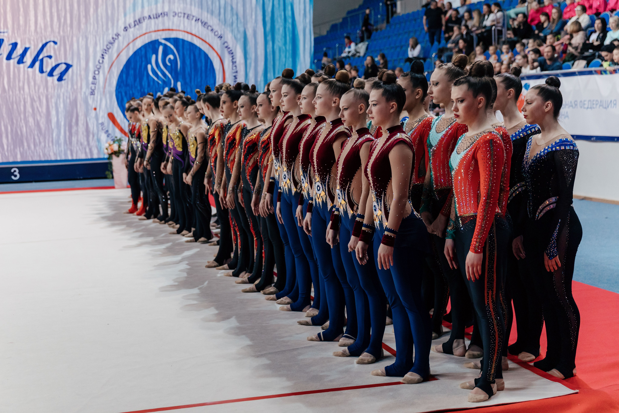Всероссийские соревнования «ВИКТОРИЯ» Раменское. Спортивный фотограф Александр Васильев. RG и AGG
