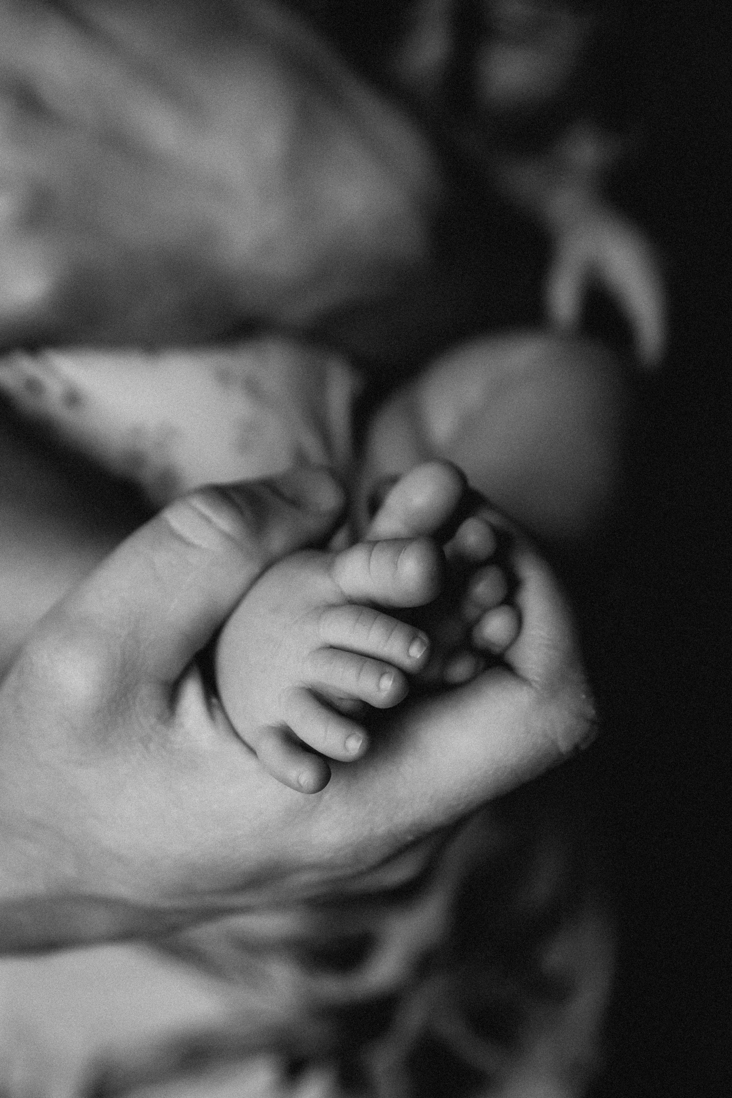 Маргарита, Дима и Лера. Семейный фотограф Минск Усова Ольга