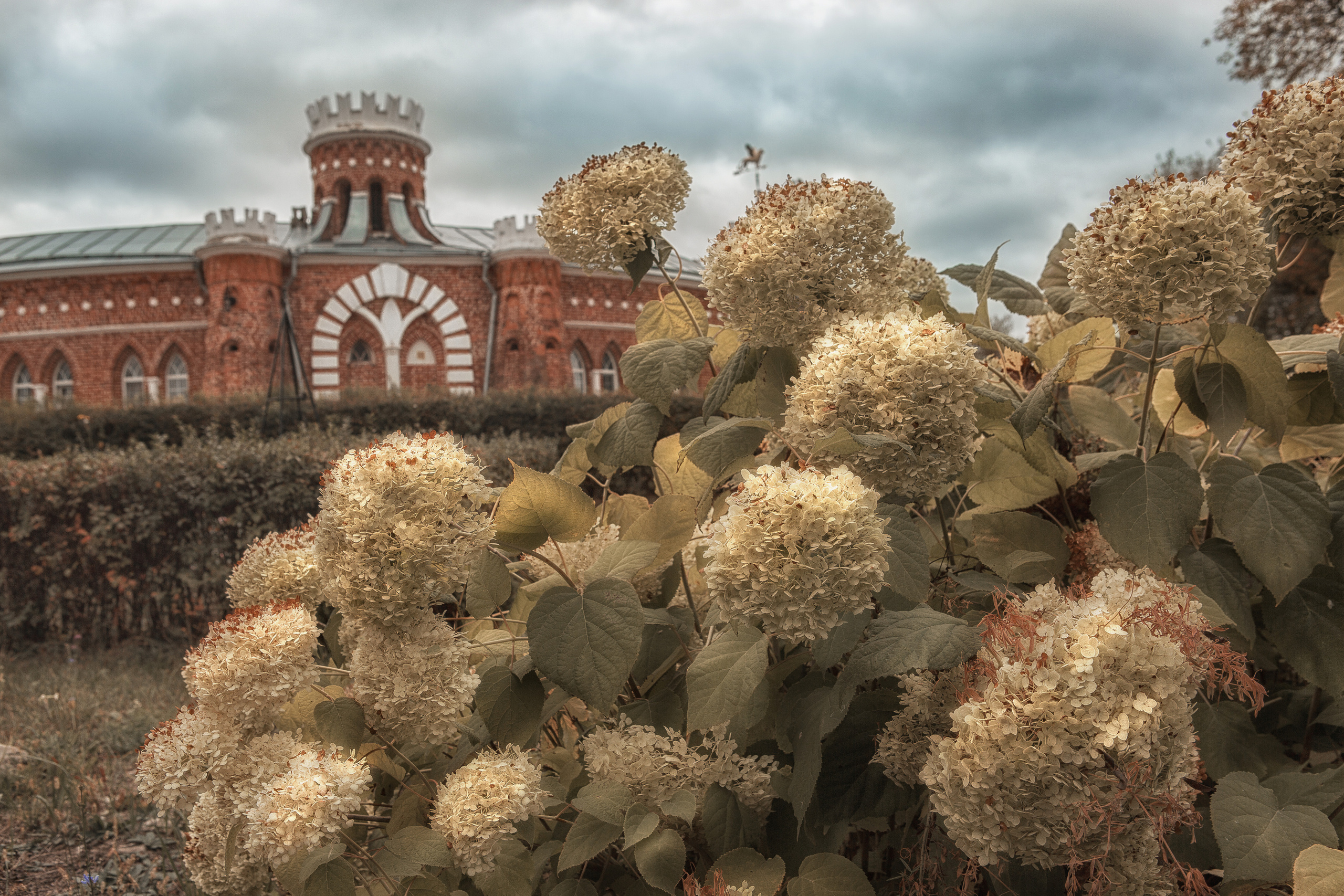 СКИТ СРЕТЕНСКОГО МОНАСТЫРЯ. Фотограф на крестины