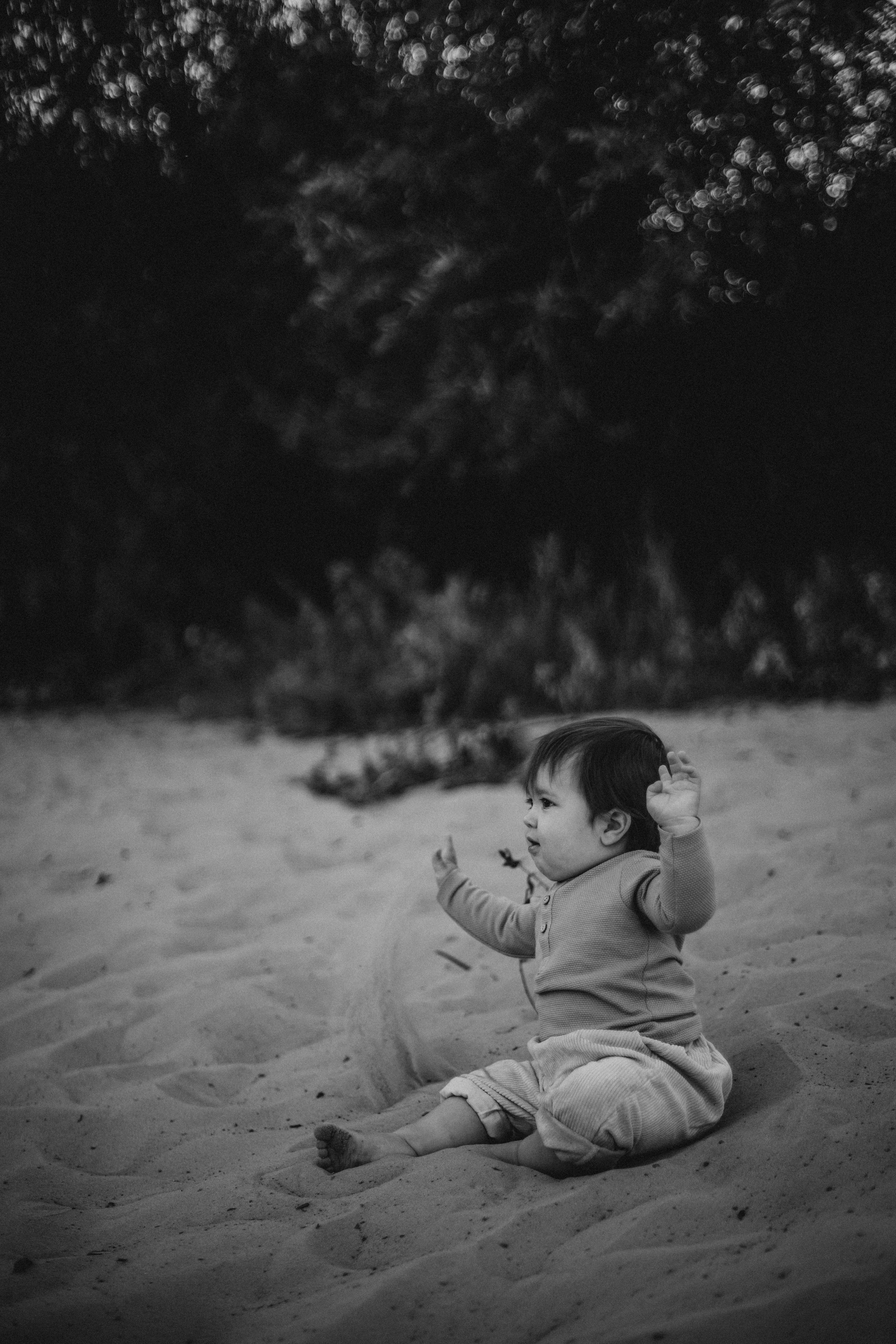 Бабье лето. Семейный фотограф в Брянске Зурилина Екатерина