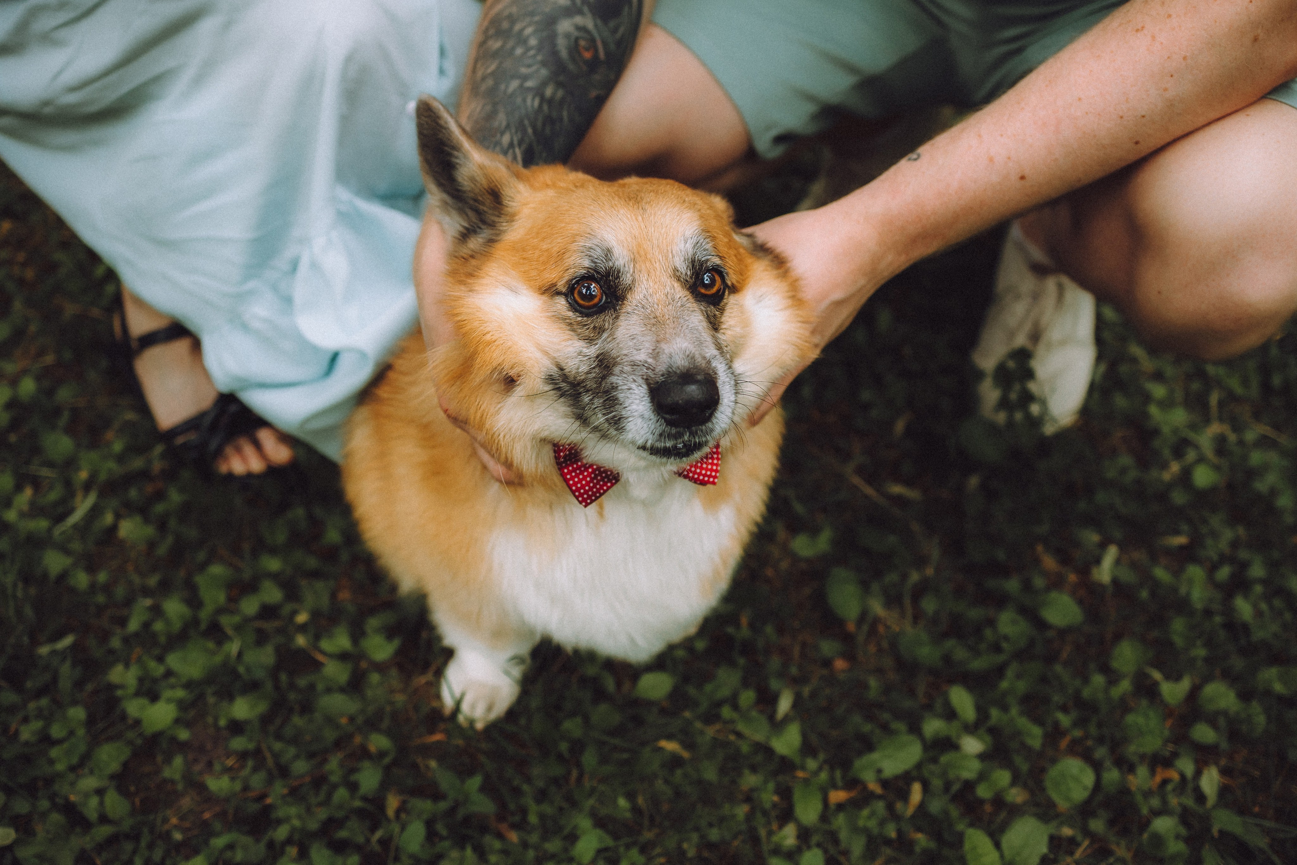 Ира, Леша и Харли