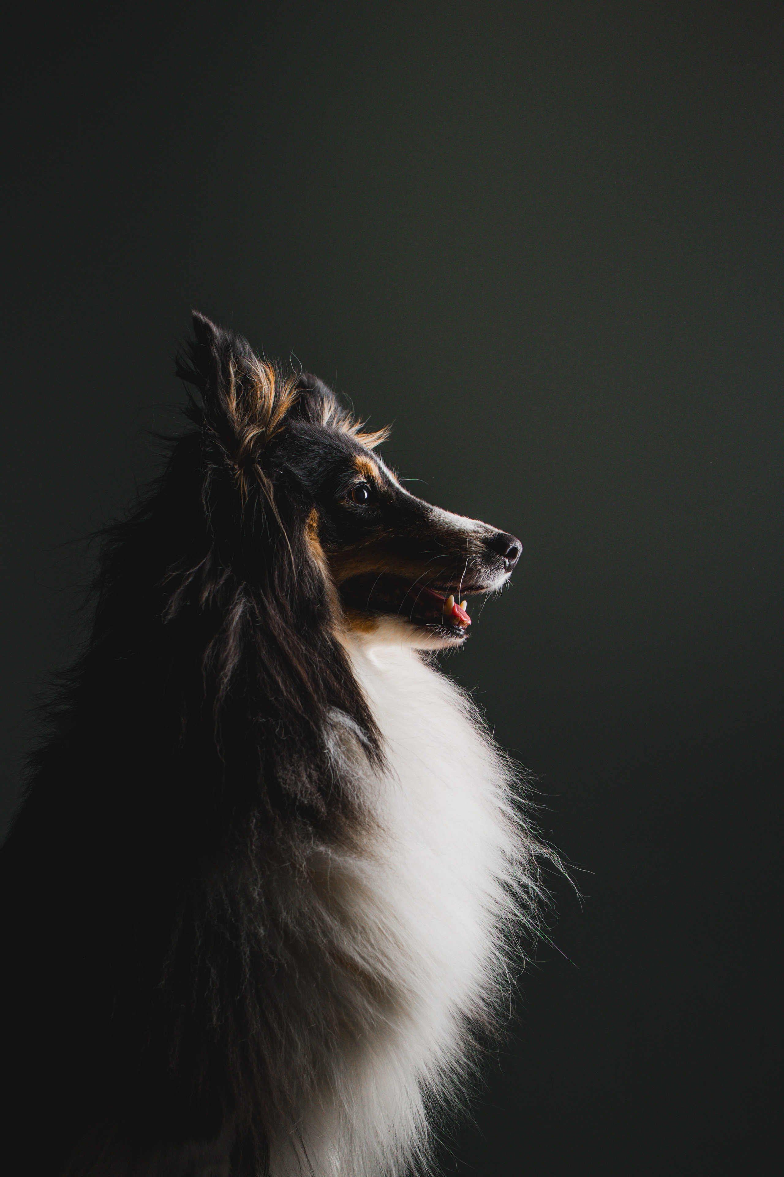 Воркшоп по импульсному свету