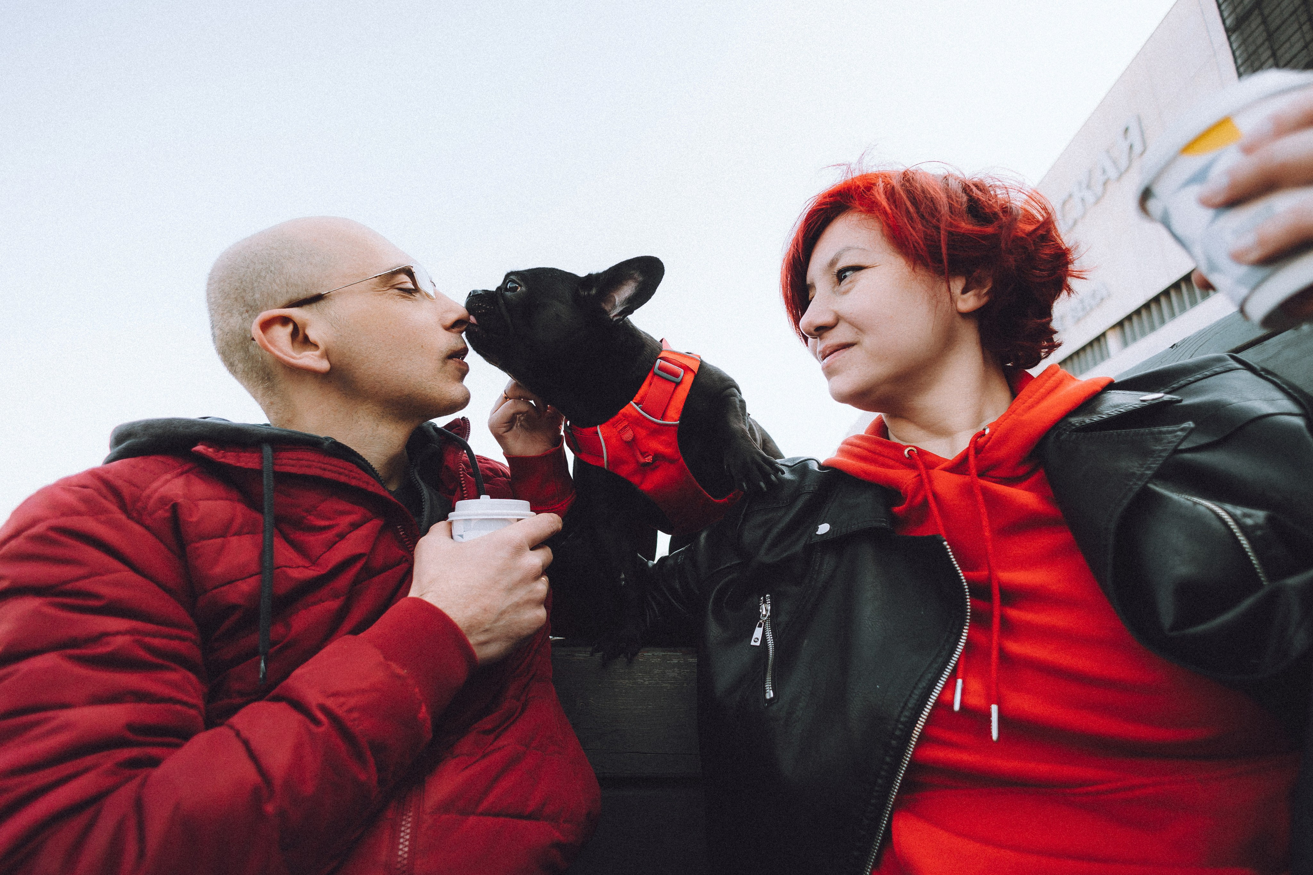 Саша, Дима и Шпуля