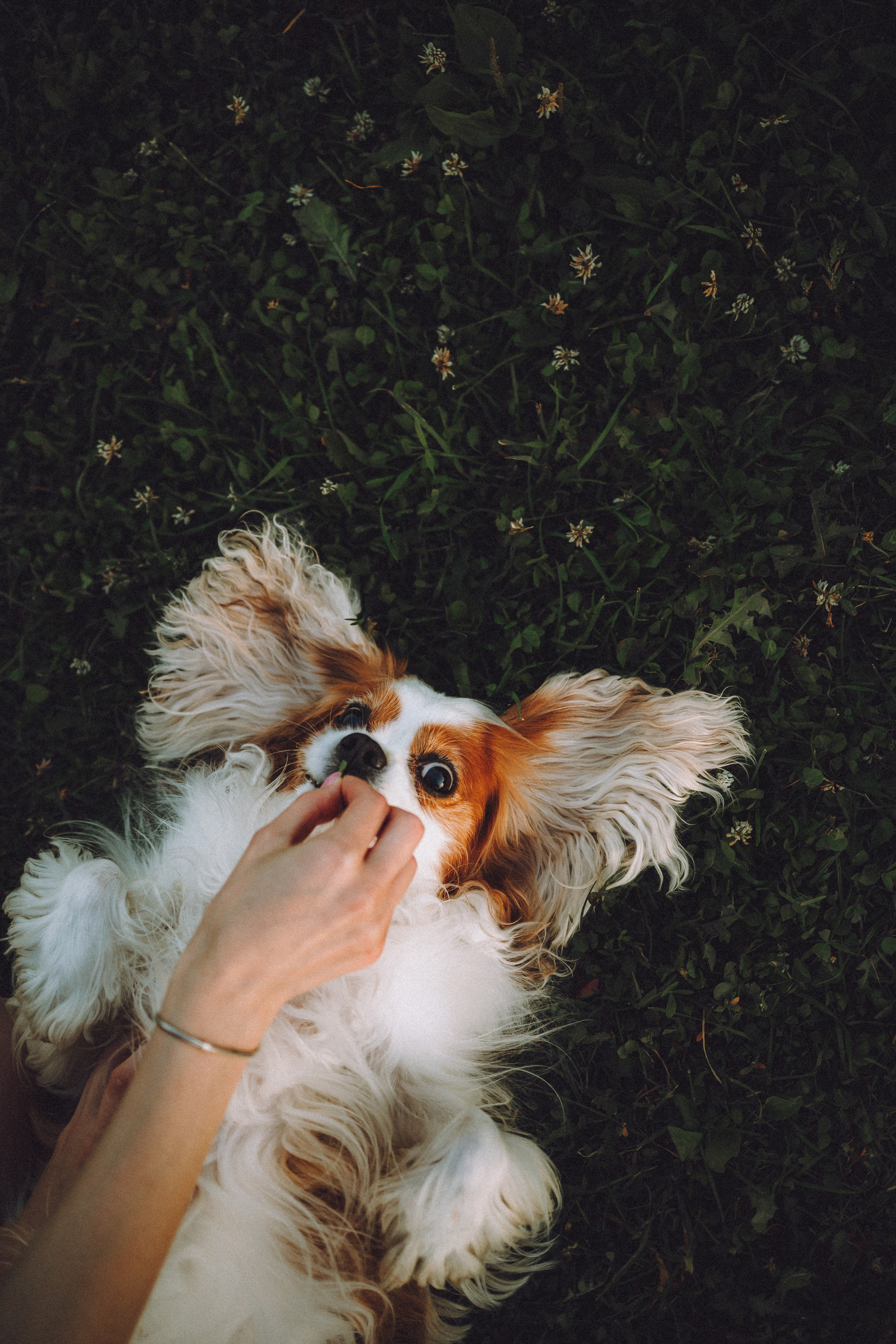 Наташа и Вики