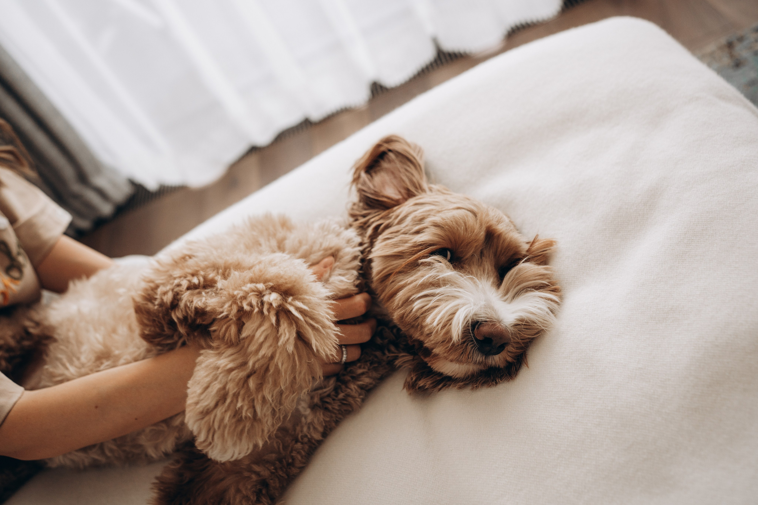 Семейные истории. Фотограф Новорожденных в Москве. Семейные истории в стиле LIFE