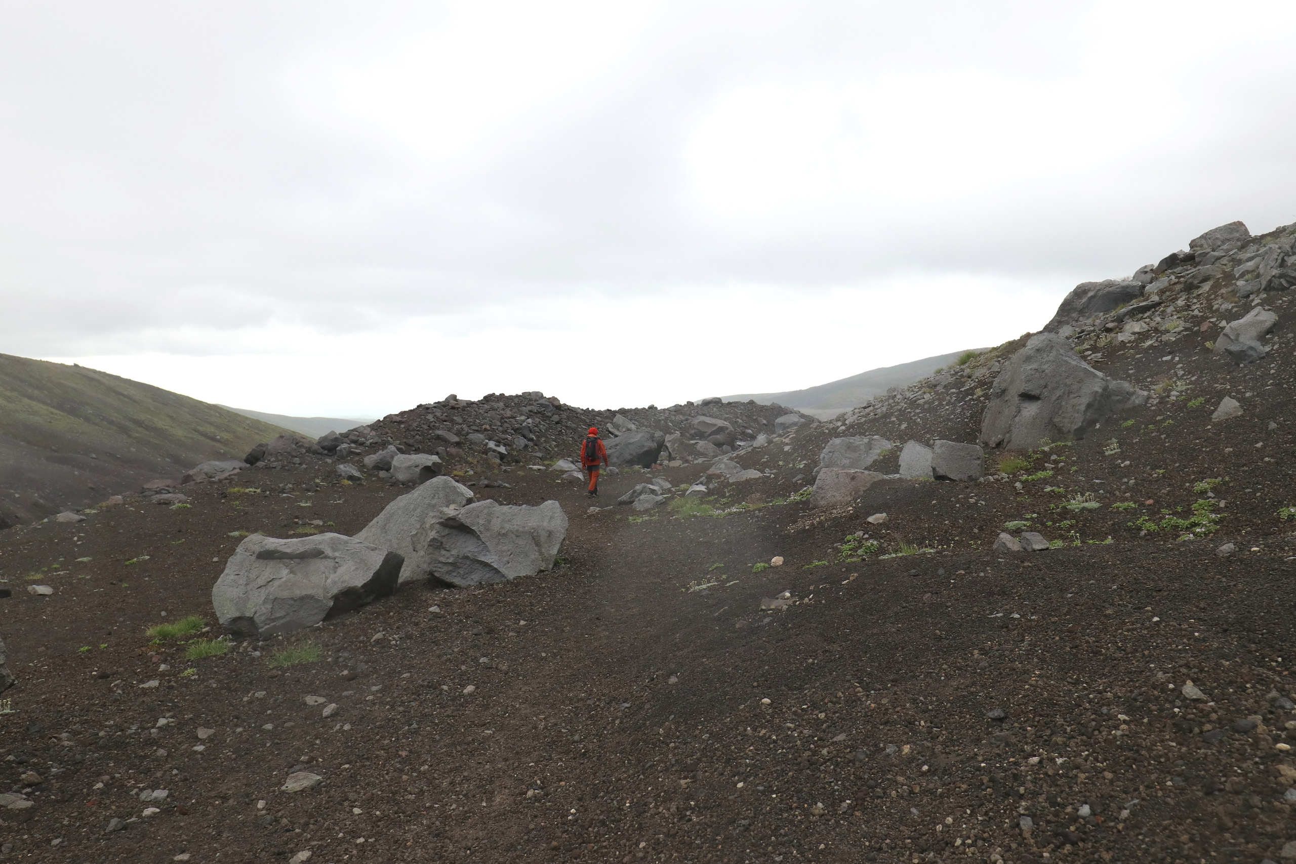 Камчатка и о. Парамушир. Июль 2024. Путешественник-фотограф из Санкт-Петербурга Татьяна Свистулина