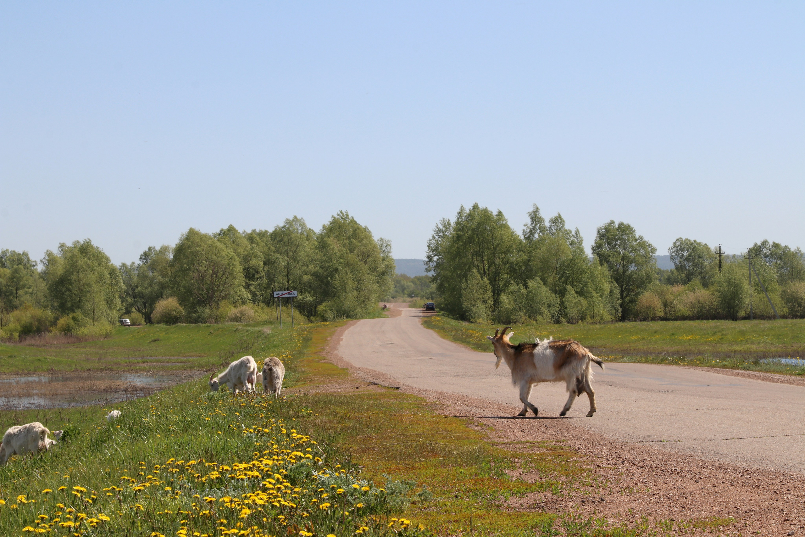 Велопоход Уфа — Мелеуз. Май 2024. Путешественник-фотограф из Санкт-Петербурга Татьяна Свистулина