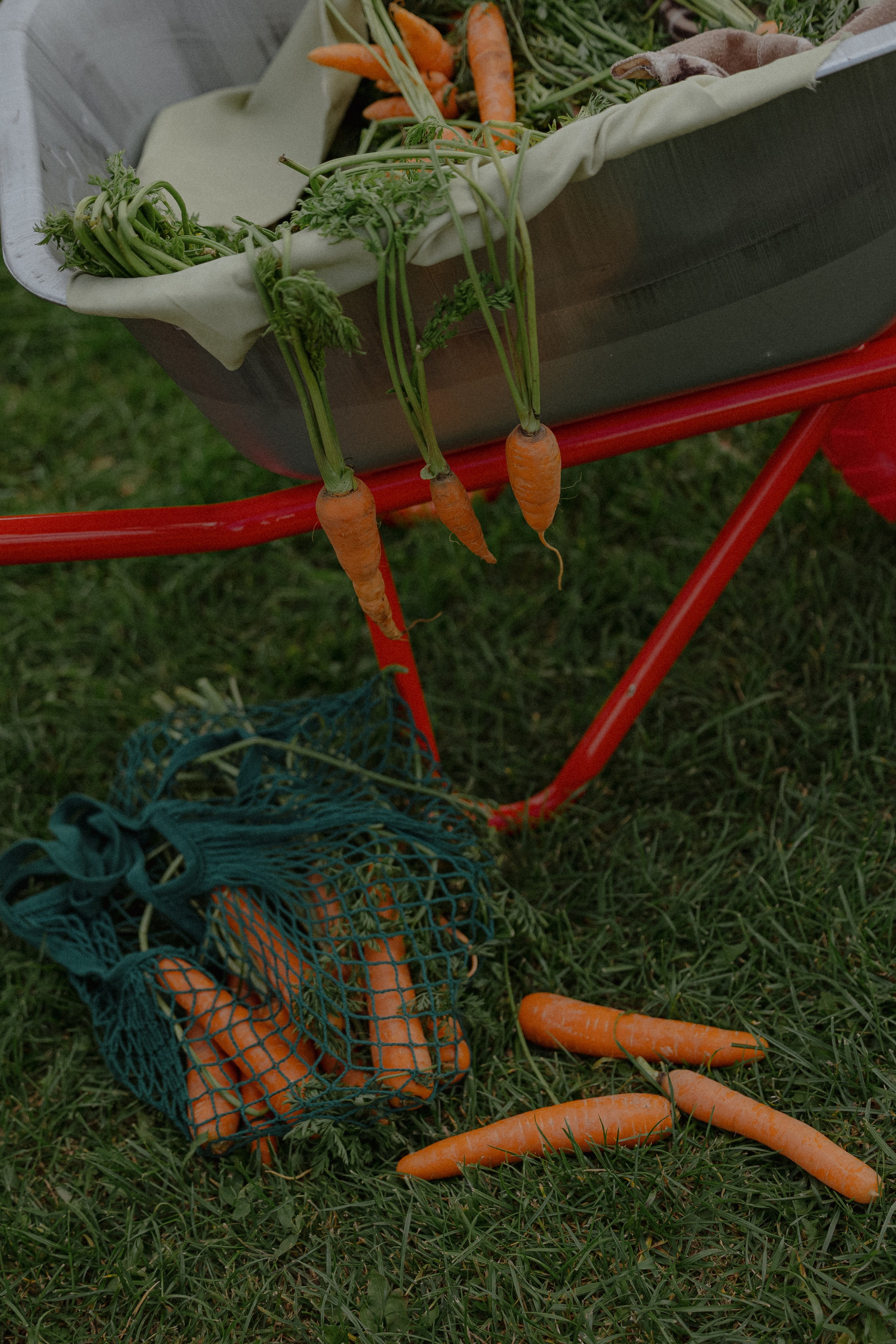 Wedding day Неш и Татьяна. Свадебный фотограф Колесников Антон