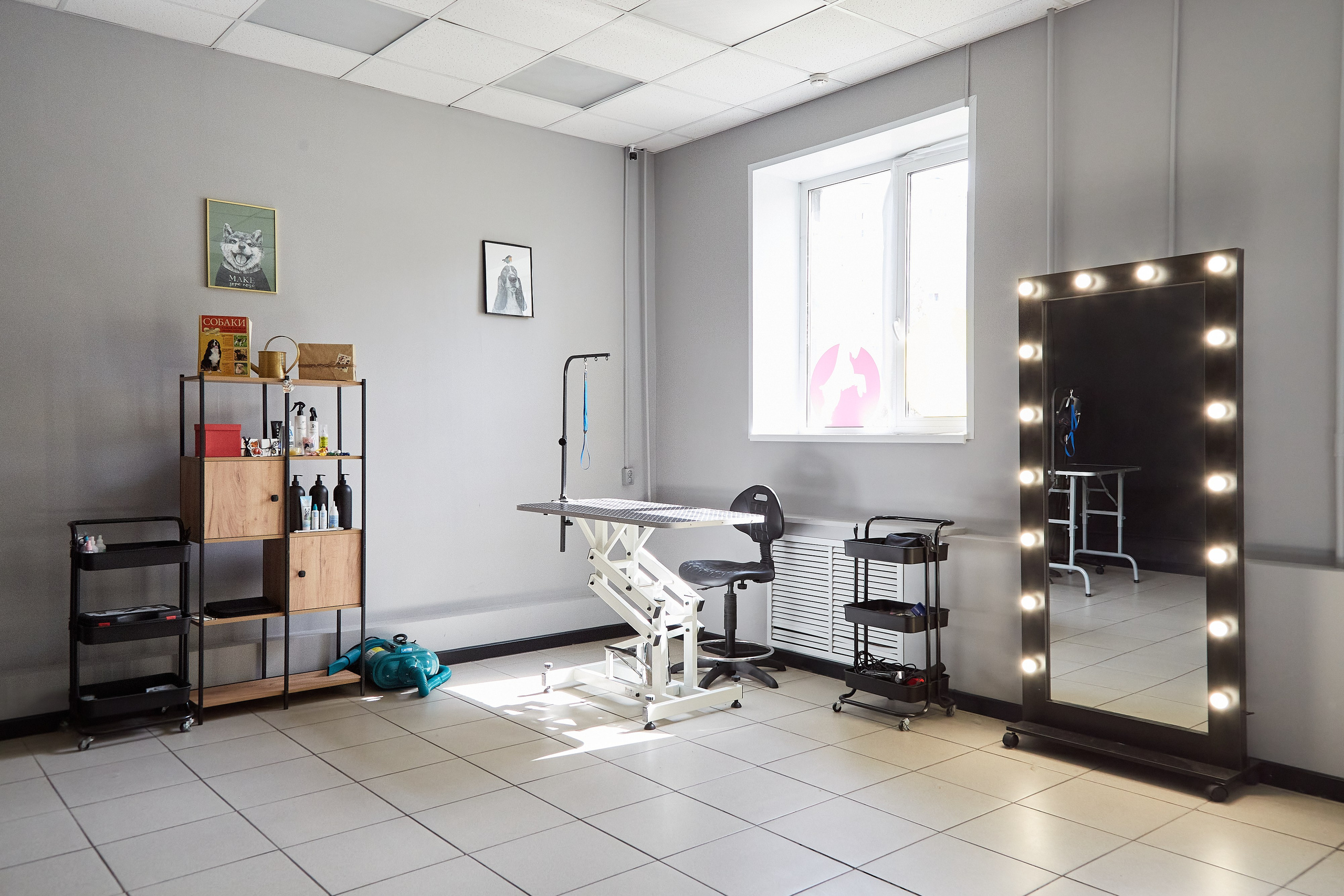 Зоопарикмахерская Avrora Groom. Фотограф Анастасия Леонтьева Санкт-Петербург