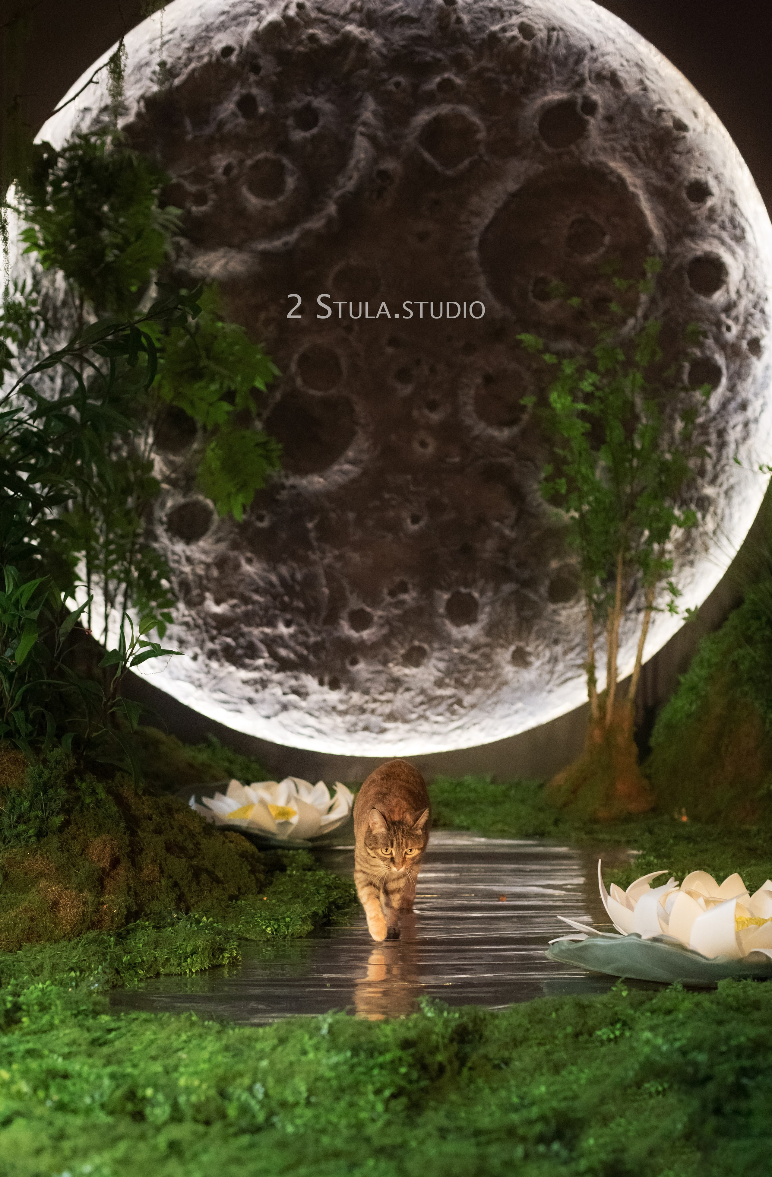 Фотостудия Алматы зал Moon. Фотостудия Алматы — 2 Stula.Studio | Аренда залов