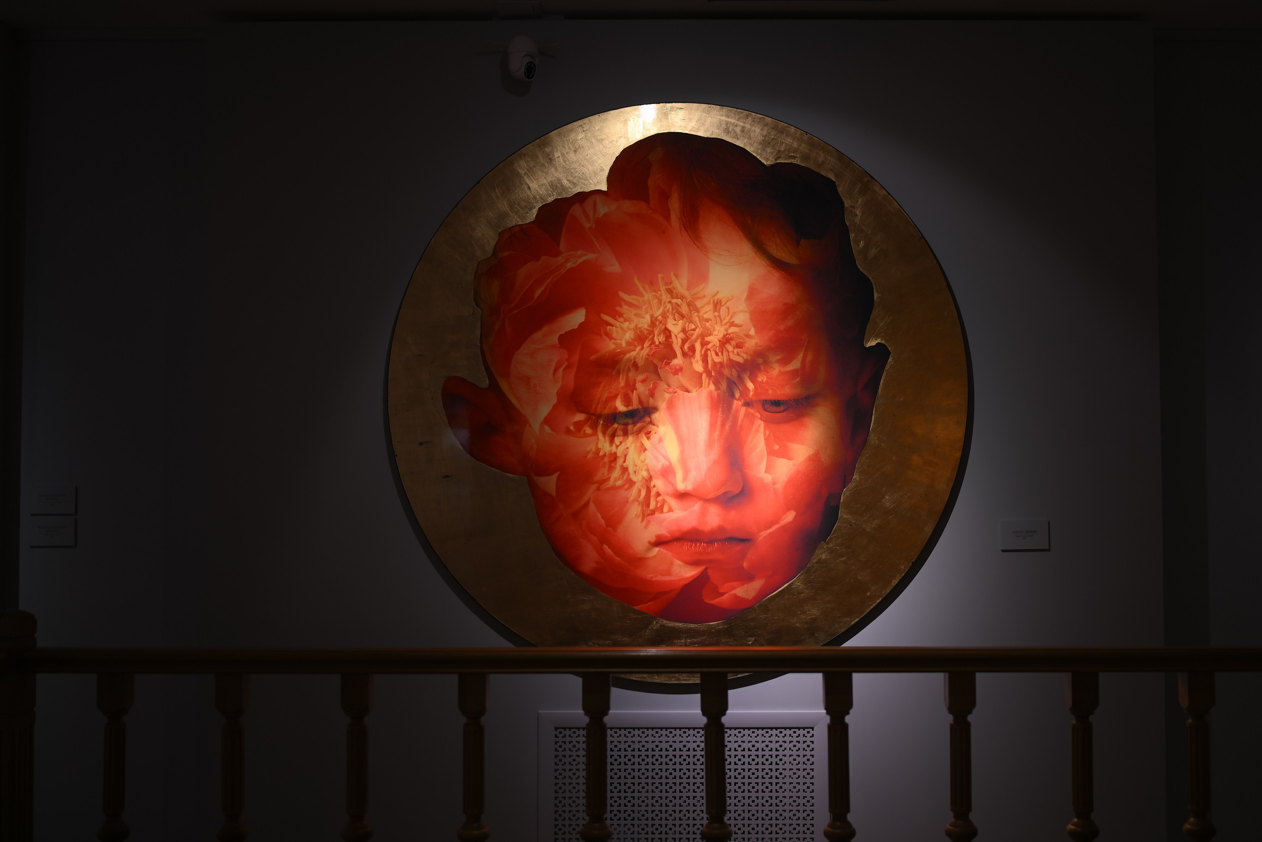 ТресвЪтлое солнце | Выставка фотографии. Портфолио