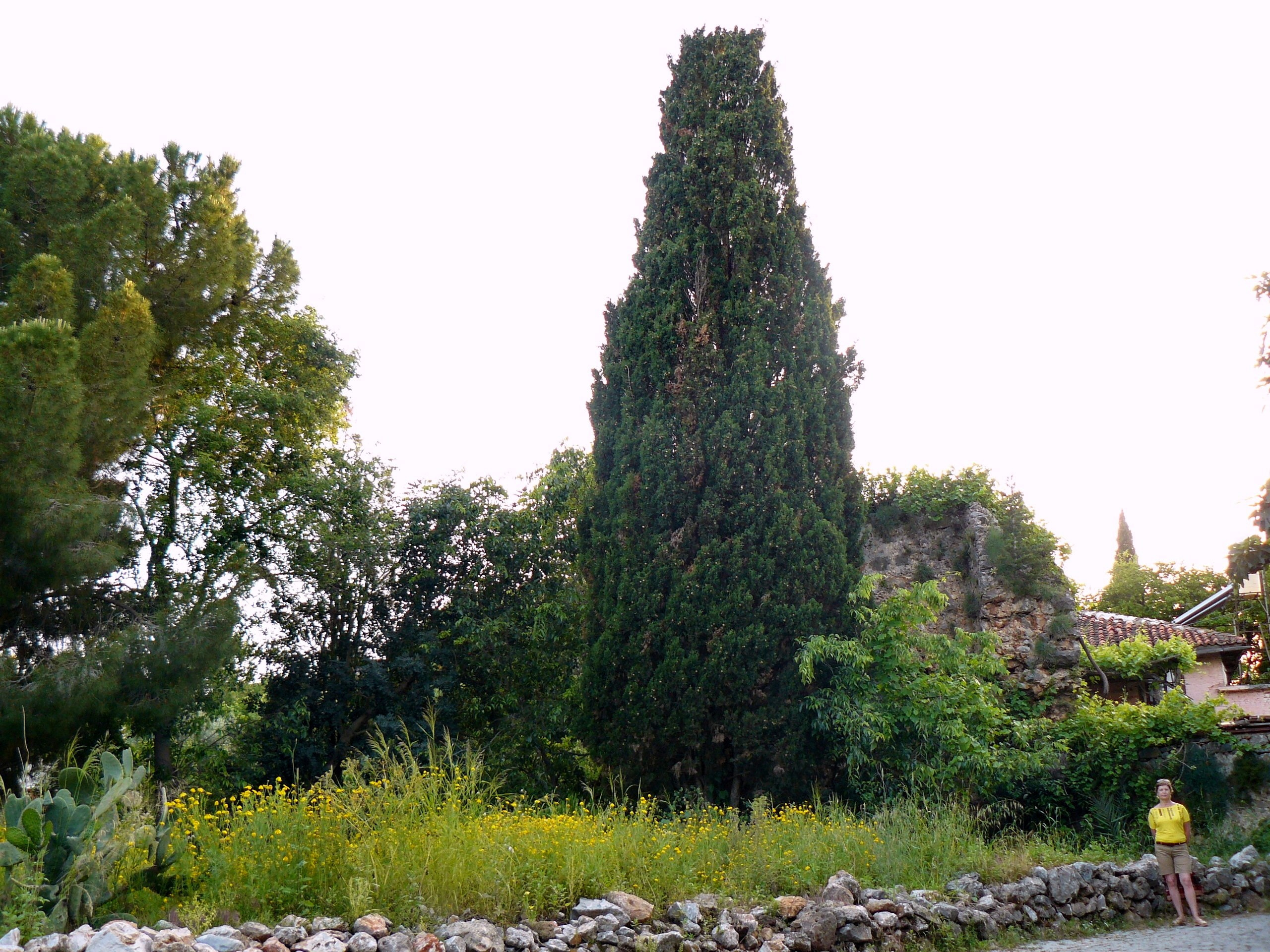 Алания 2014 старая крепость. Фотопрогулки по Миру