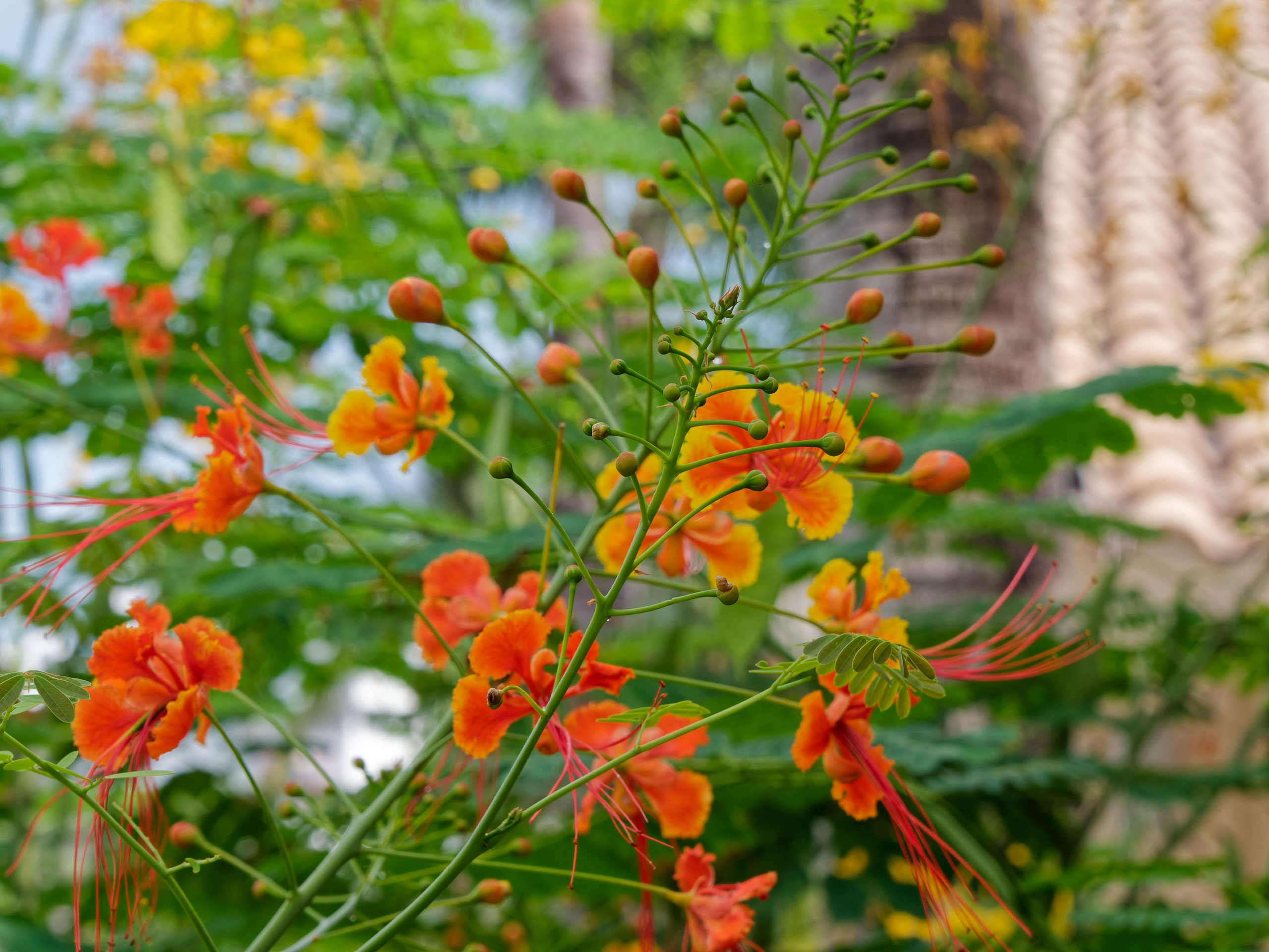 Хайнань 2026, «Food Street» ночная улица еды в Ялунване. Фотопрогулки по Миру