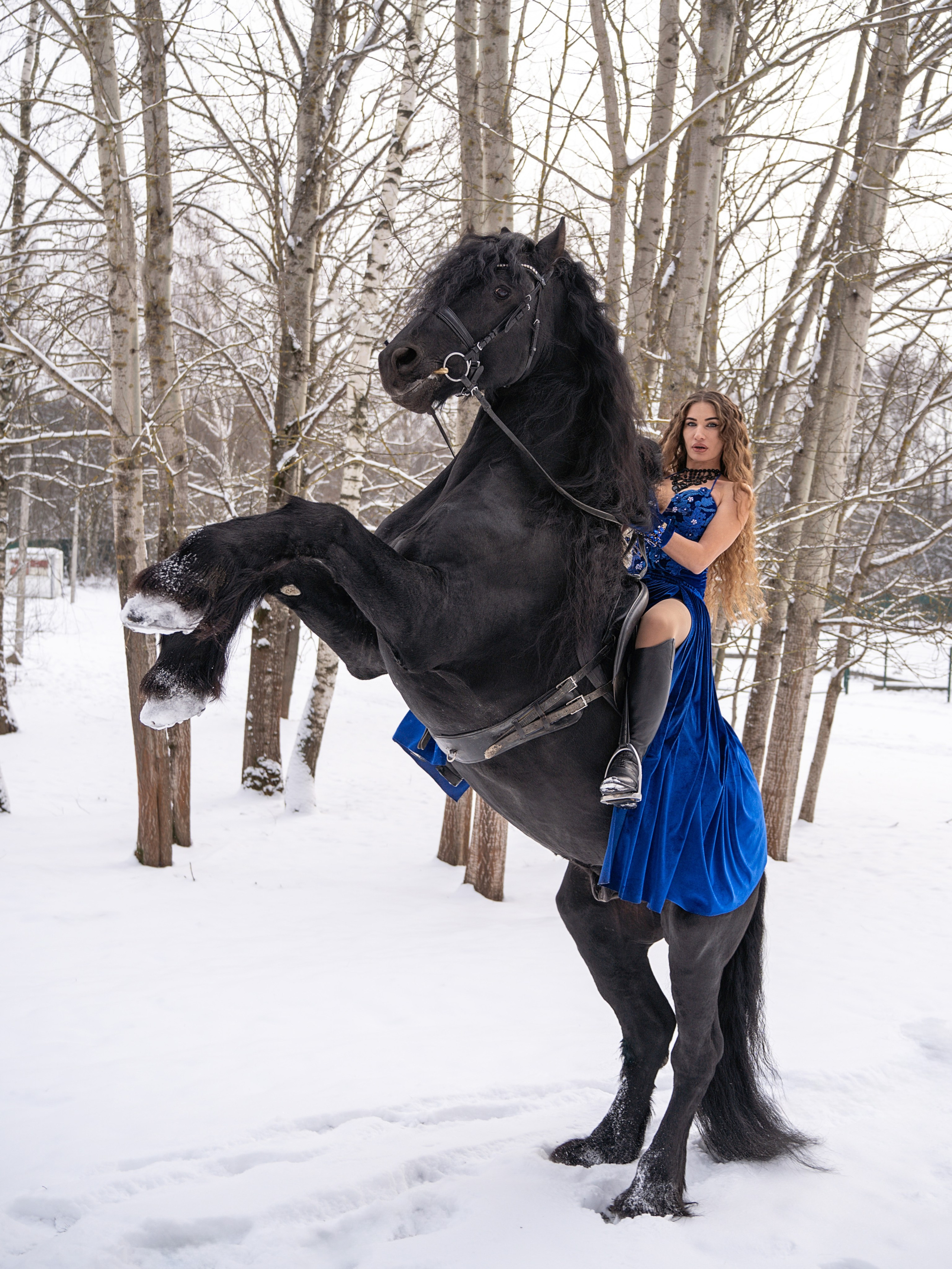 Лошадки зима. Фотограф Зинаида Евдокимова