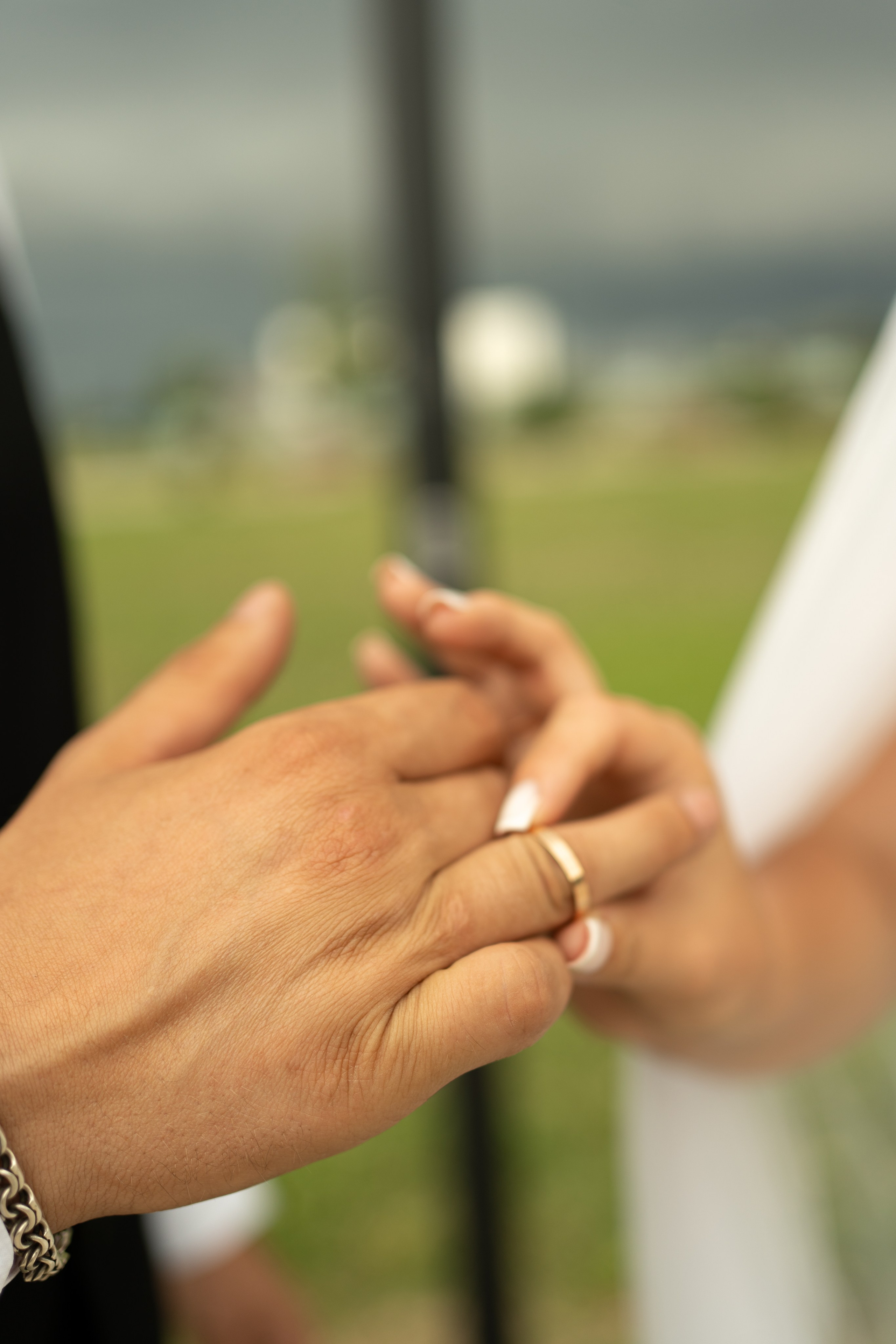 Альбина и Илья Wedding. Фотограф Новошахтинск|Ростов, Дарья Секрий